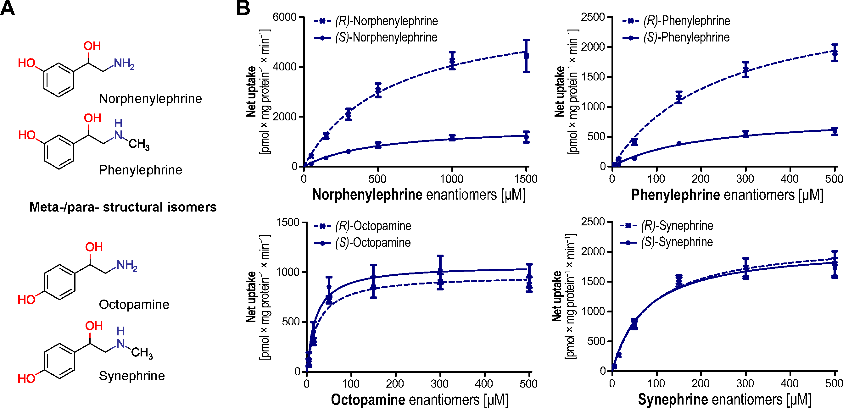 Biomolecules 12 01507 g004 Biomolecules 12 01507 g004