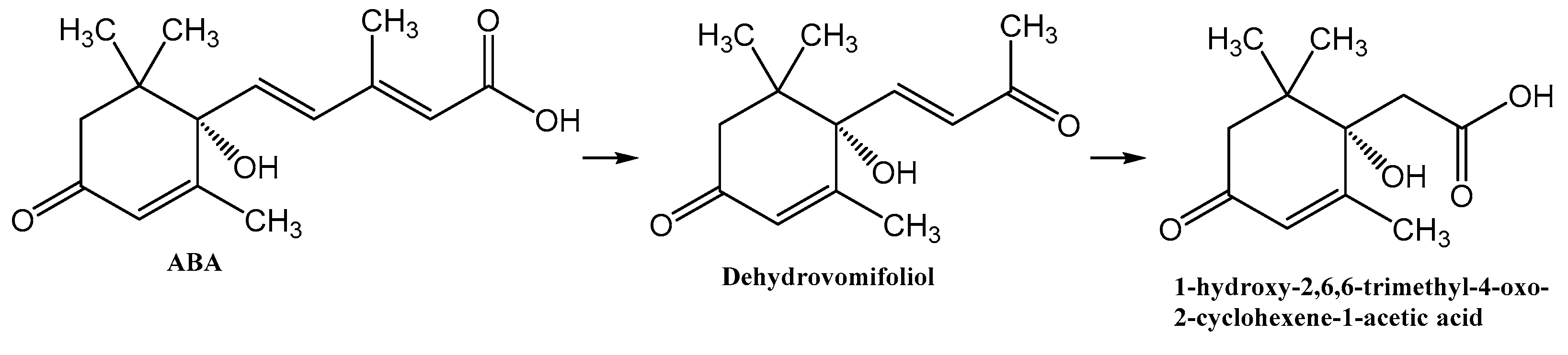 Biomolecules 12 01508 g015