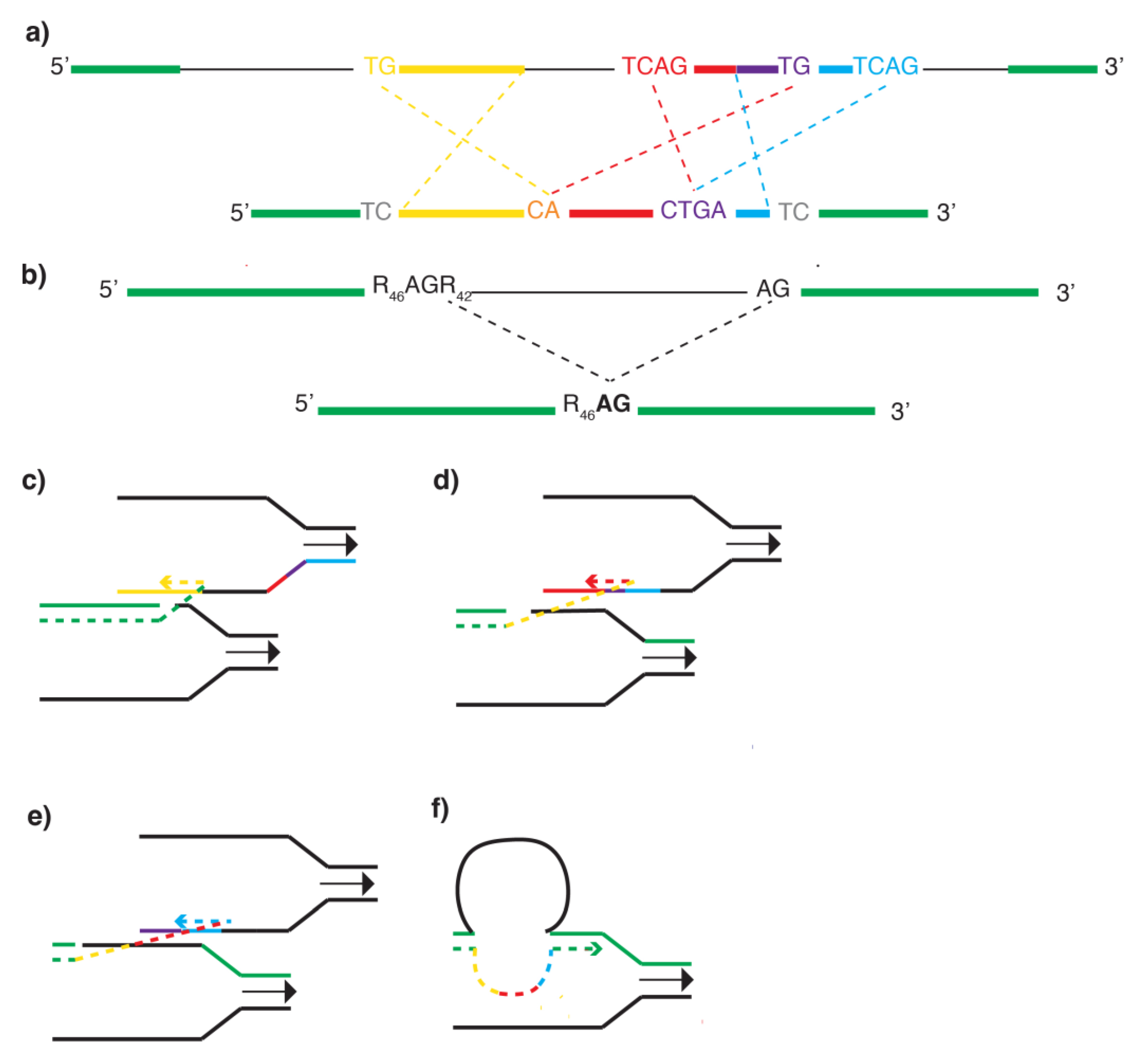 Biomolecules 12 01509 g001 Biomolecules 12 01509 g001
