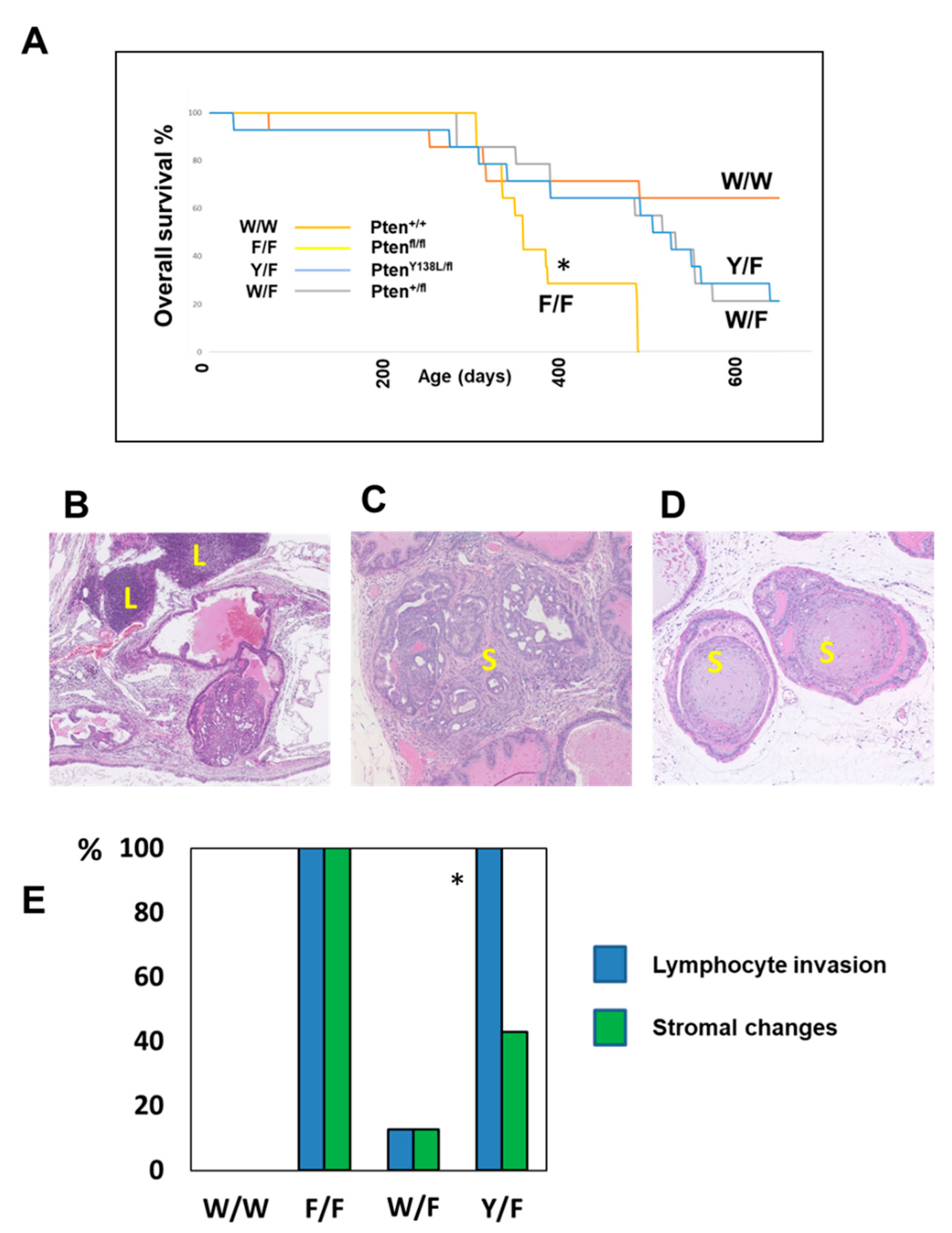 Biomolecules 12 01511 g004 Biomolecules 12 01511 g004