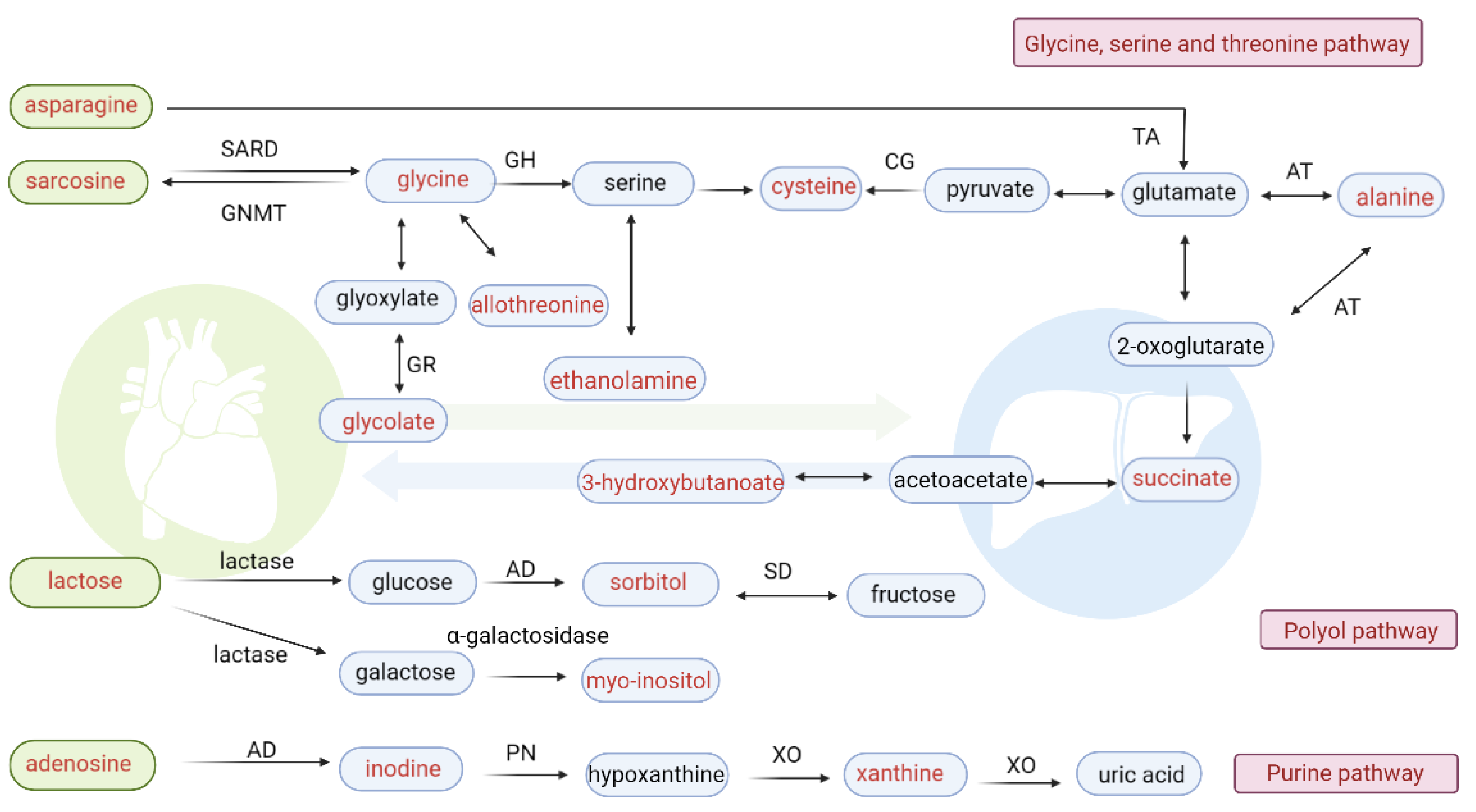 Biomolecules 12 01512 g005