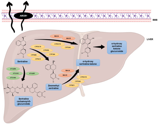 gabapentin and zoloft interaction