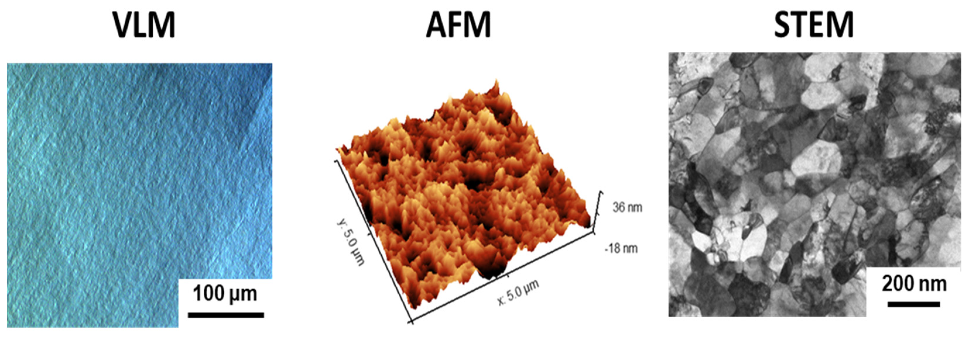 Biomolecules 12 01515 g001