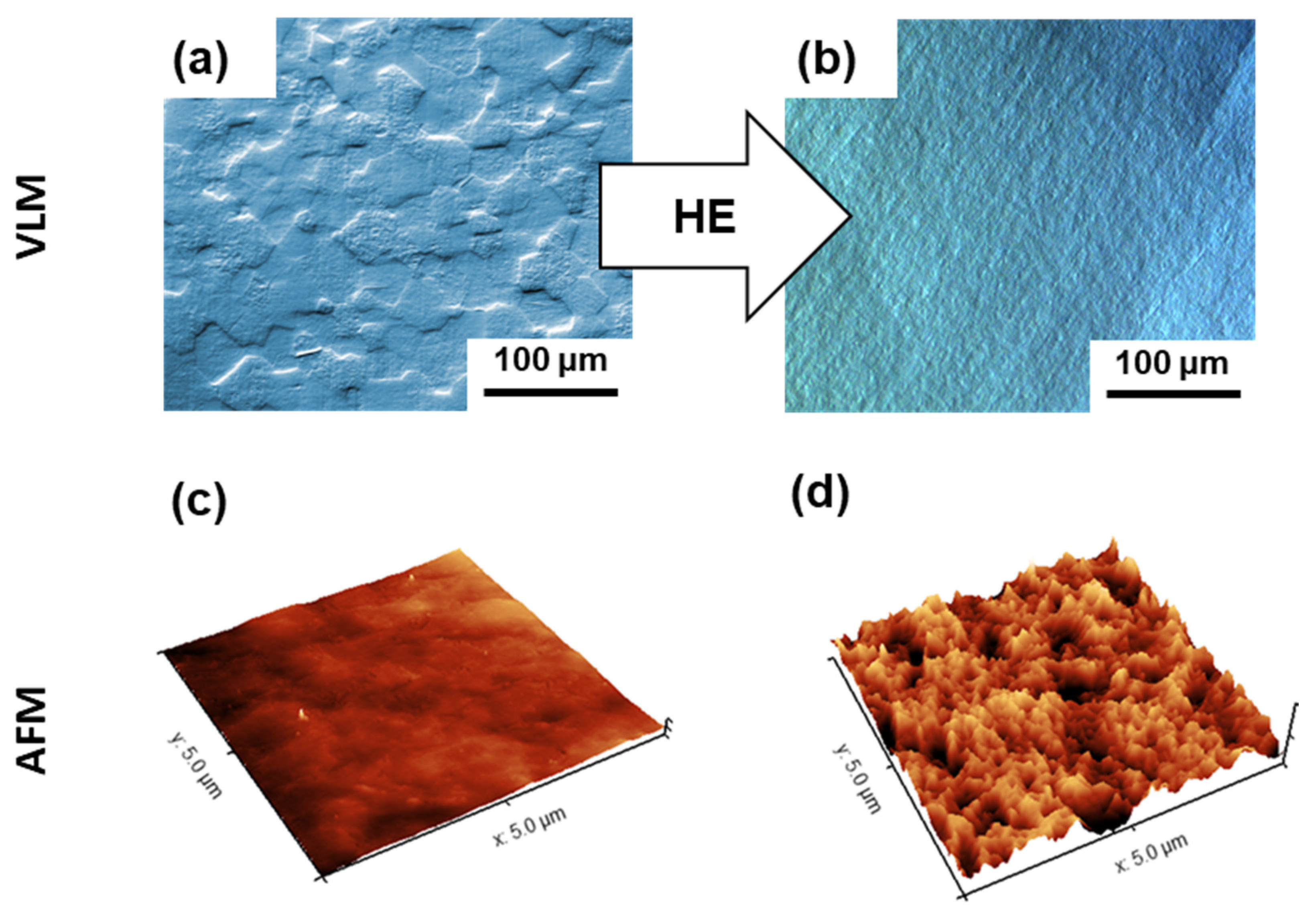 Biomolecules 12 01515 g002