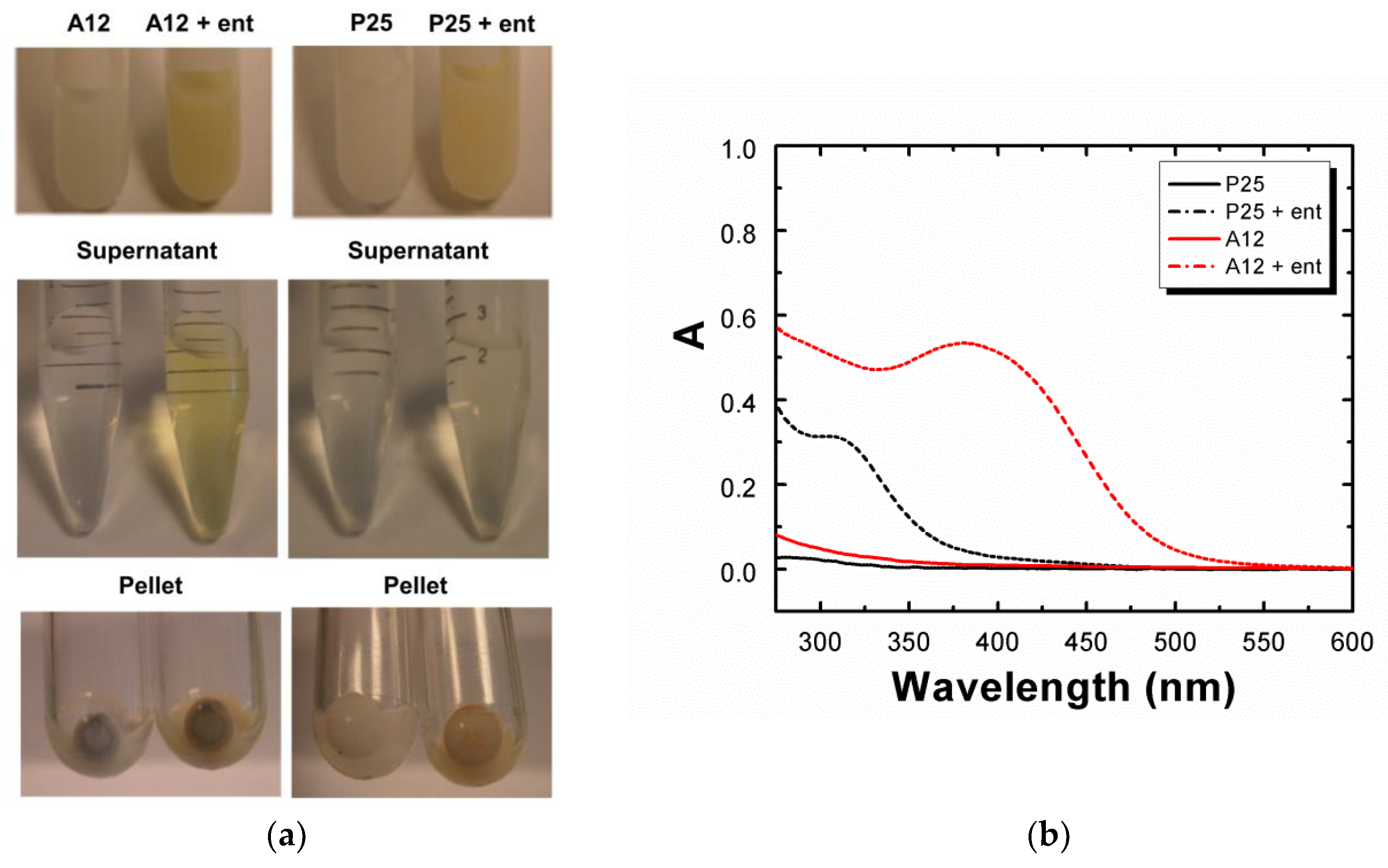 Biomolecules 12 01516 g002