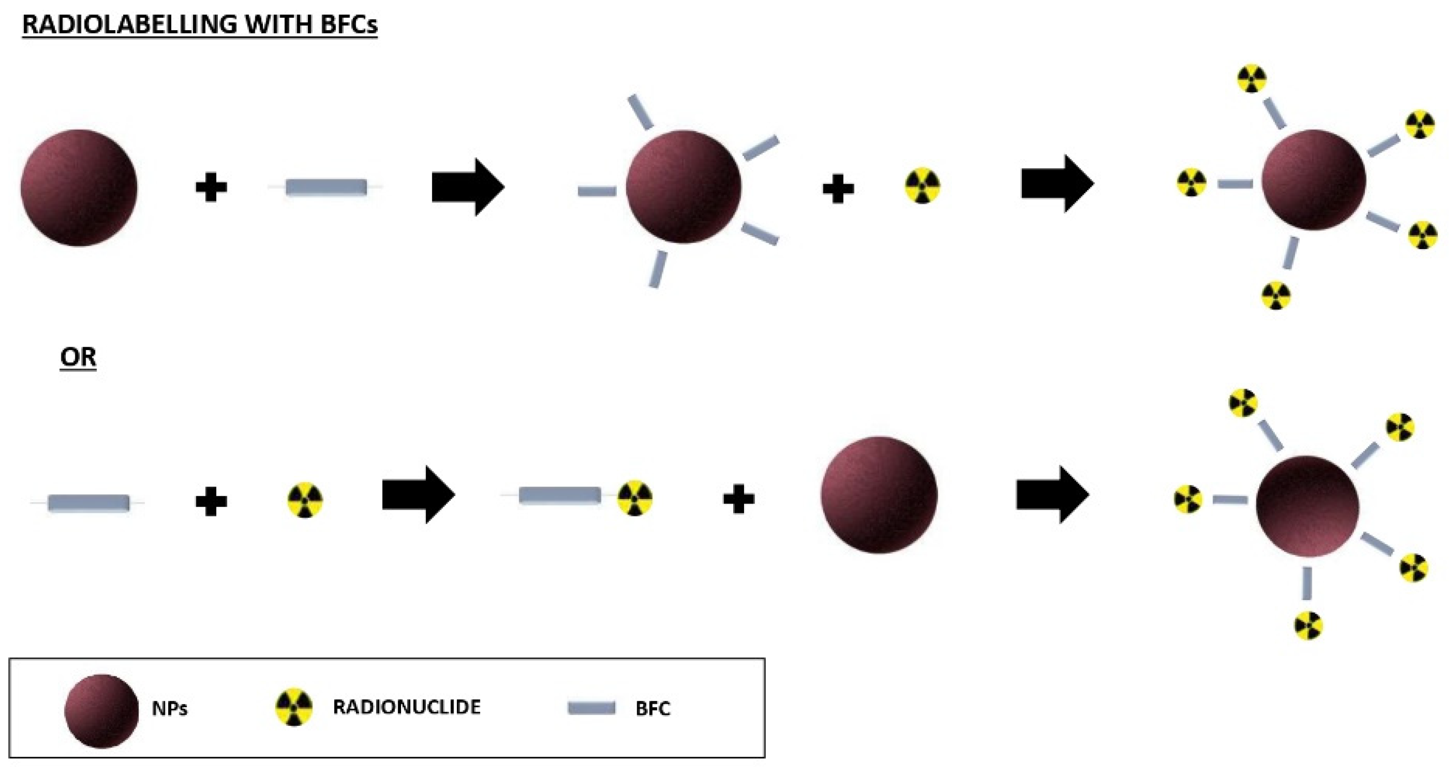 Biomolecules 12 01517 g001