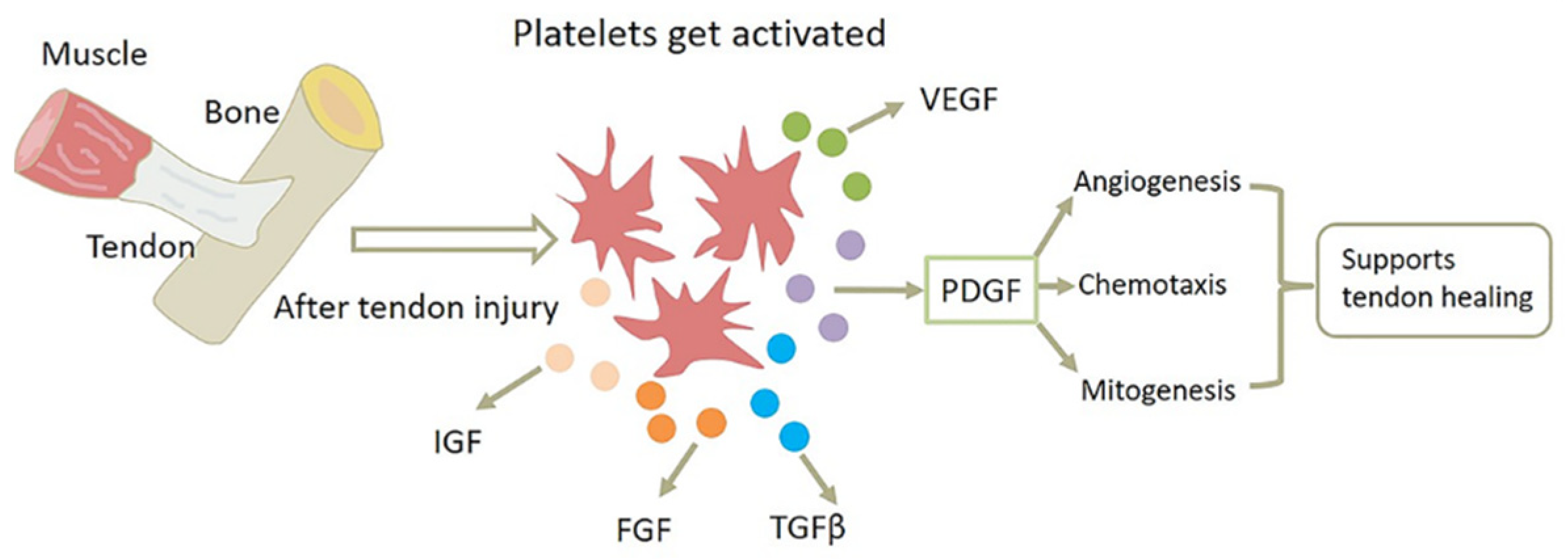 Biomolecules 12 01518 g003 Biomolecules 12 01518 g003