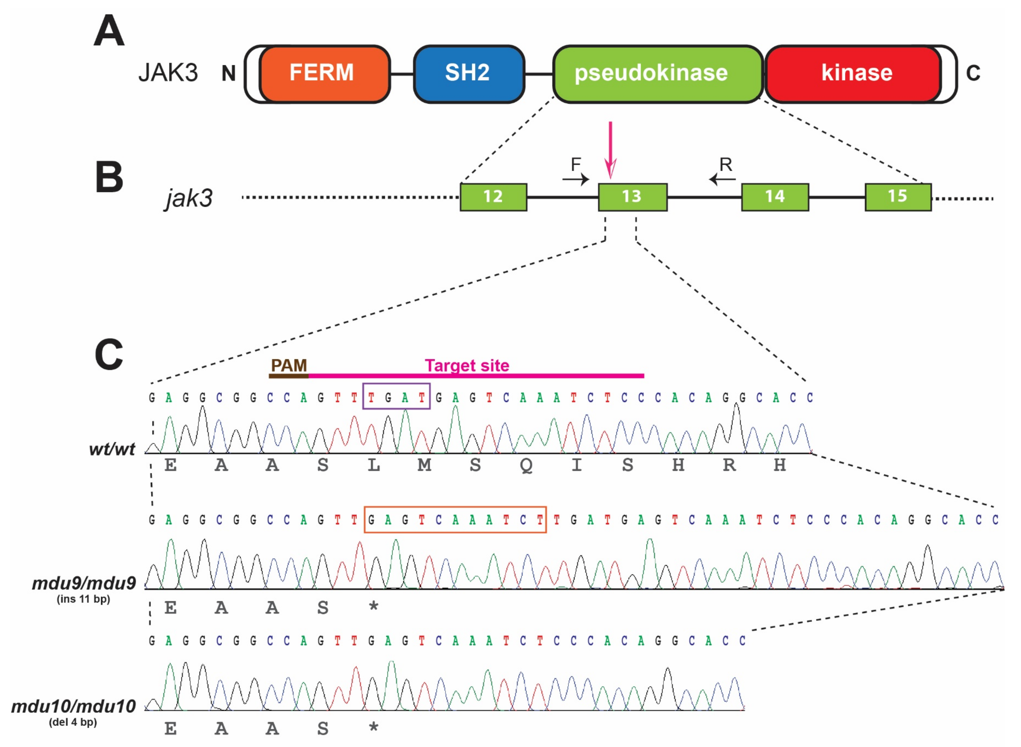Biomolecules 12 01521 g001 Biomolecules 12 01521 g001