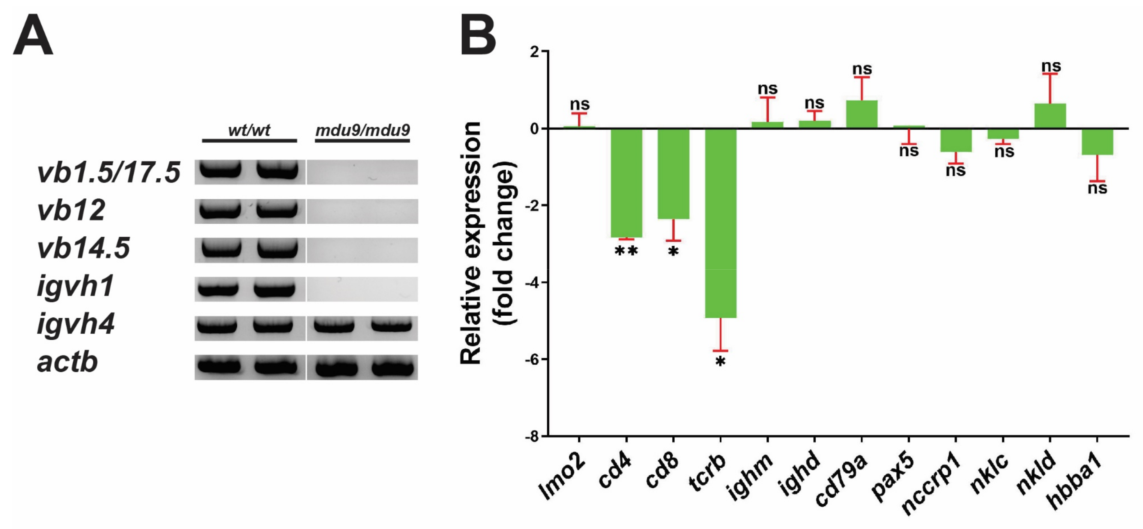 Biomolecules 12 01521 g003 Biomolecules 12 01521 g003