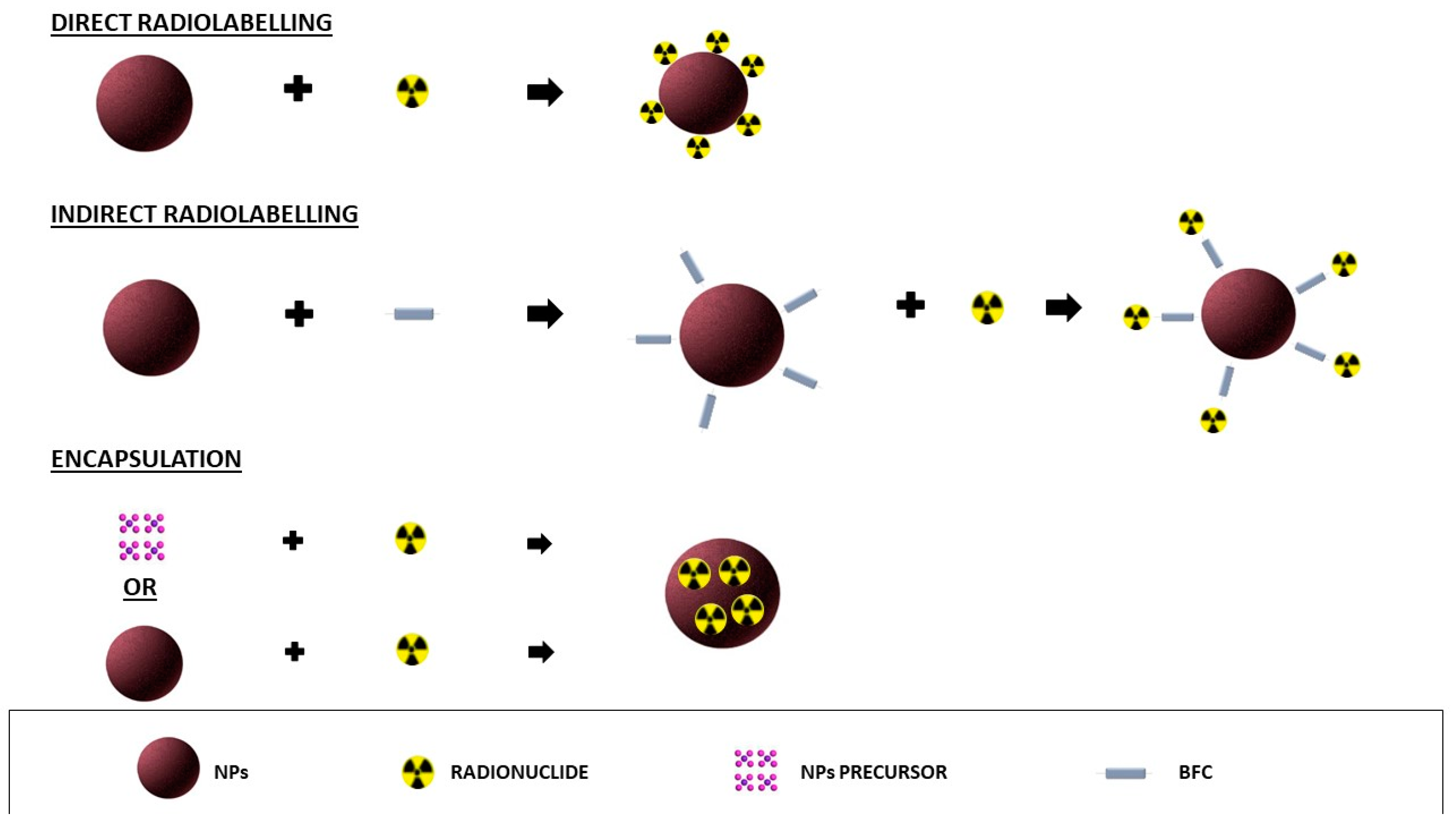 Biomolecules 12 01522 g001 Biomolecules 12 01522 g001