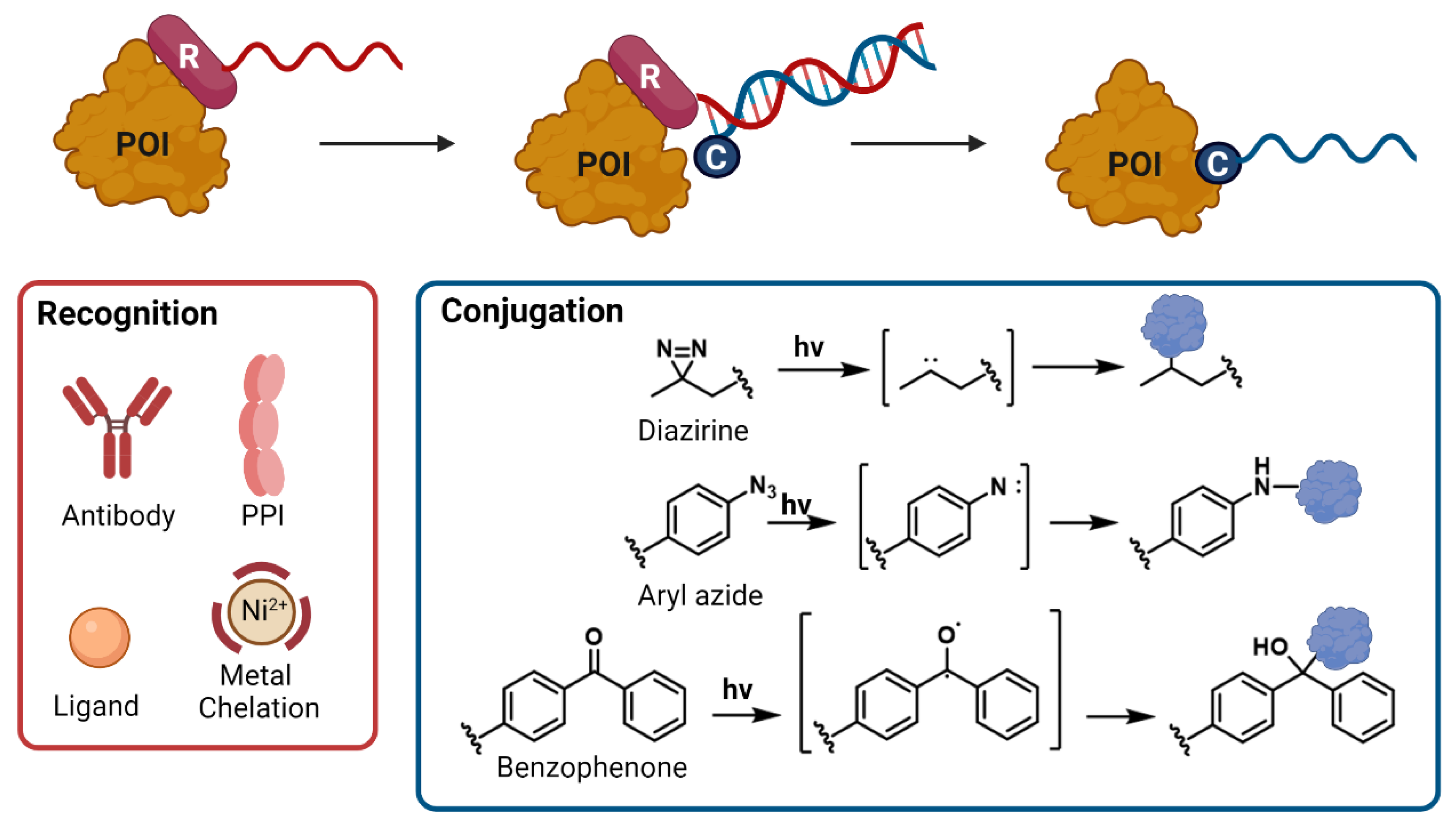 Biomolecules 12 01523 g003 Biomolecules 12 01523 g003