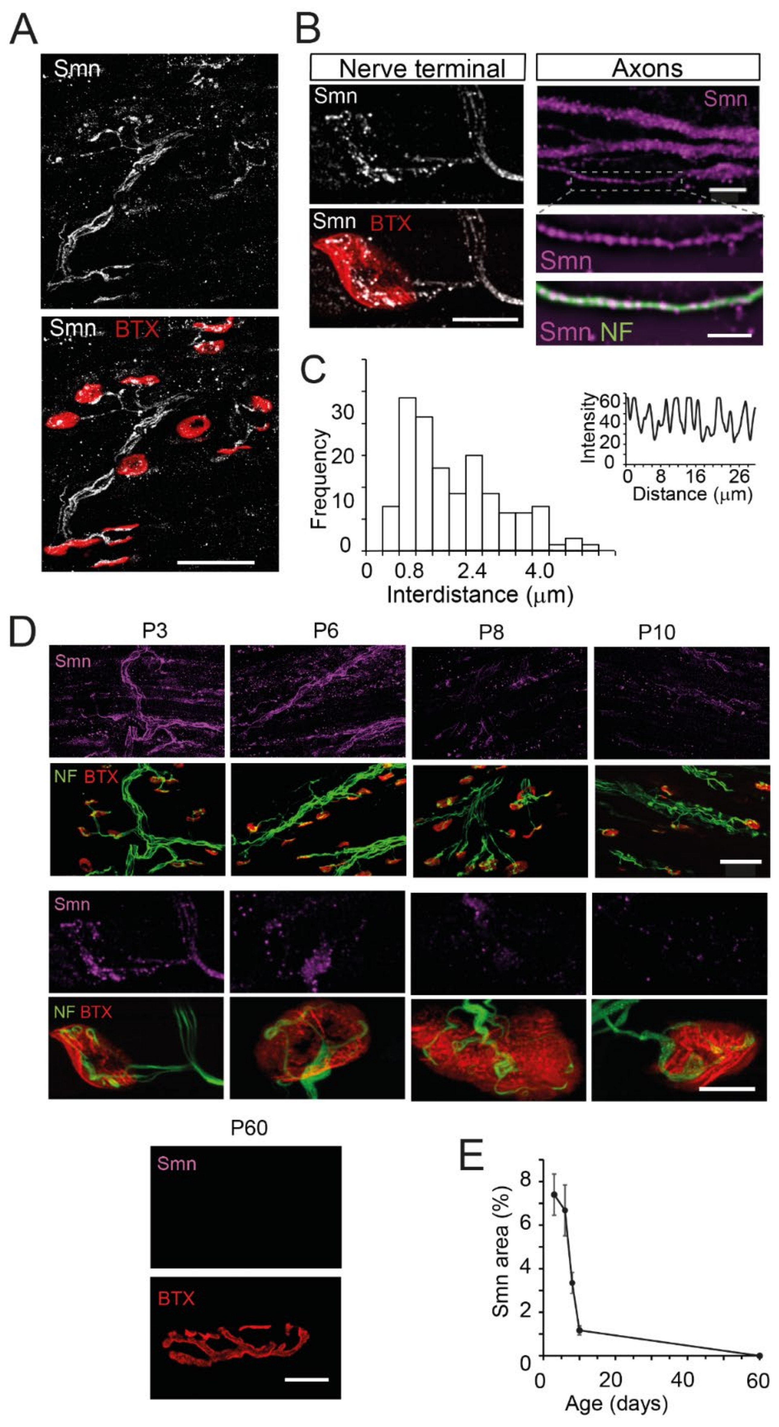 Biomolecules 12 01524 g001 Biomolecules 12 01524 g001