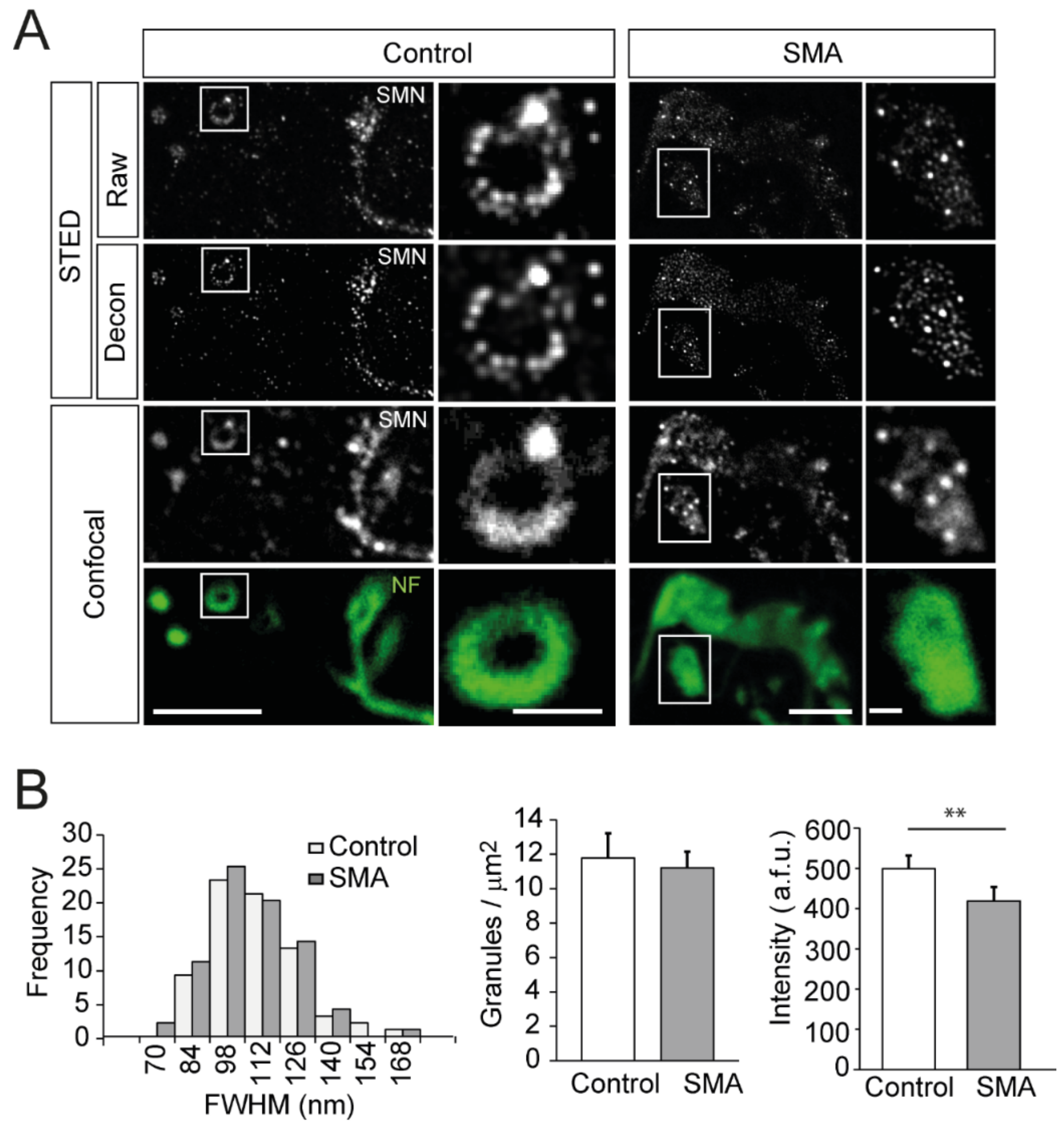 Biomolecules 12 01524 g005 Biomolecules 12 01524 g005