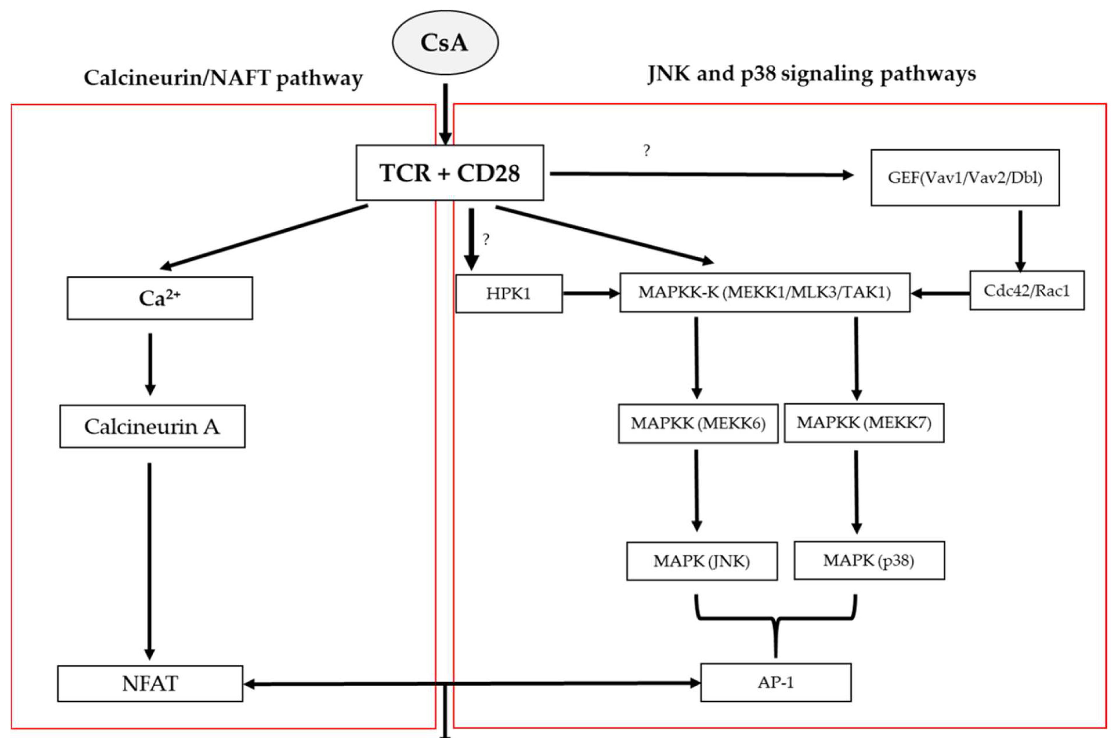 Biomolecules 12 01525 g002 Biomolecules 12 01525 g002