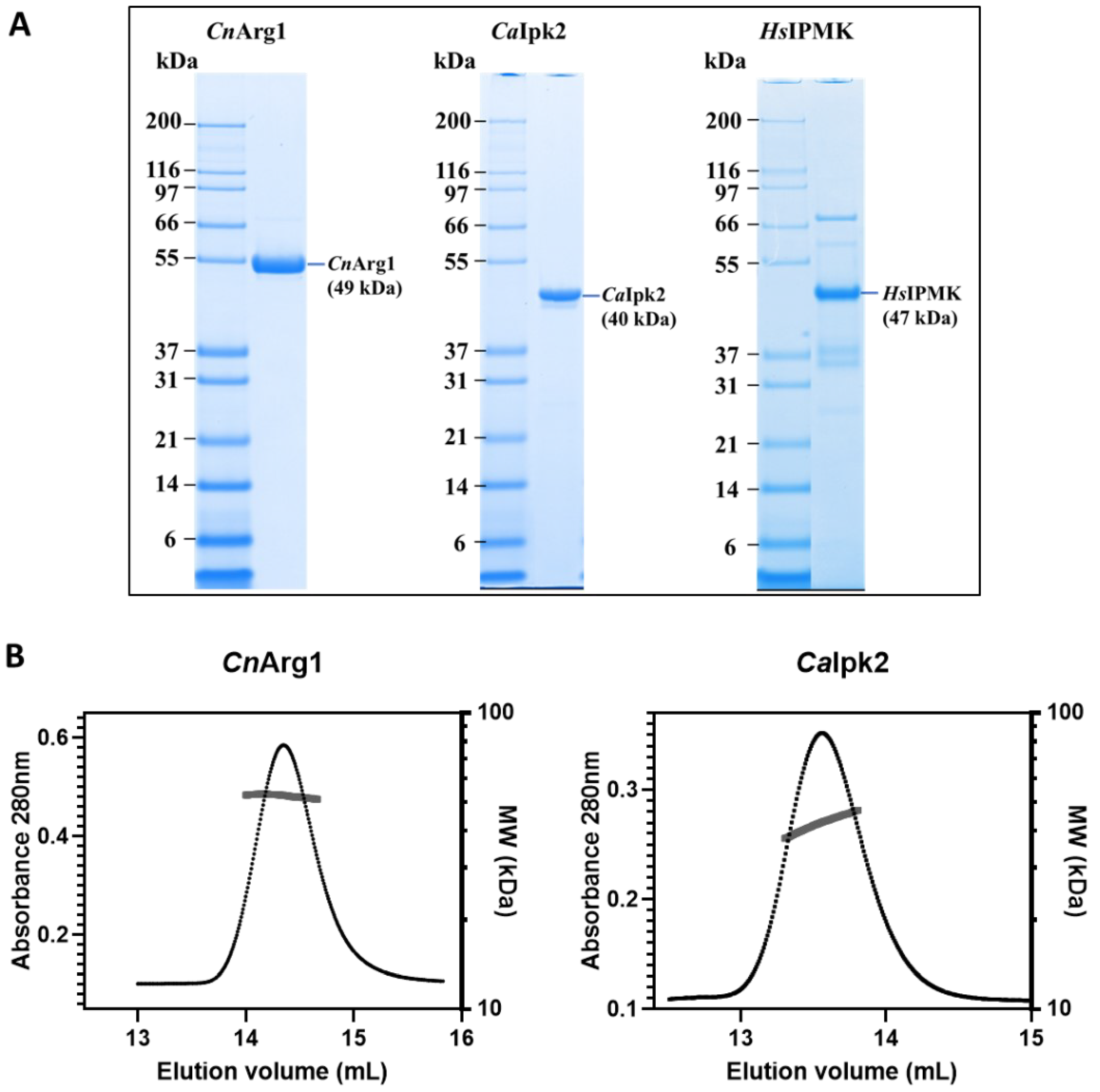 Biomolecules 12 01526 g001