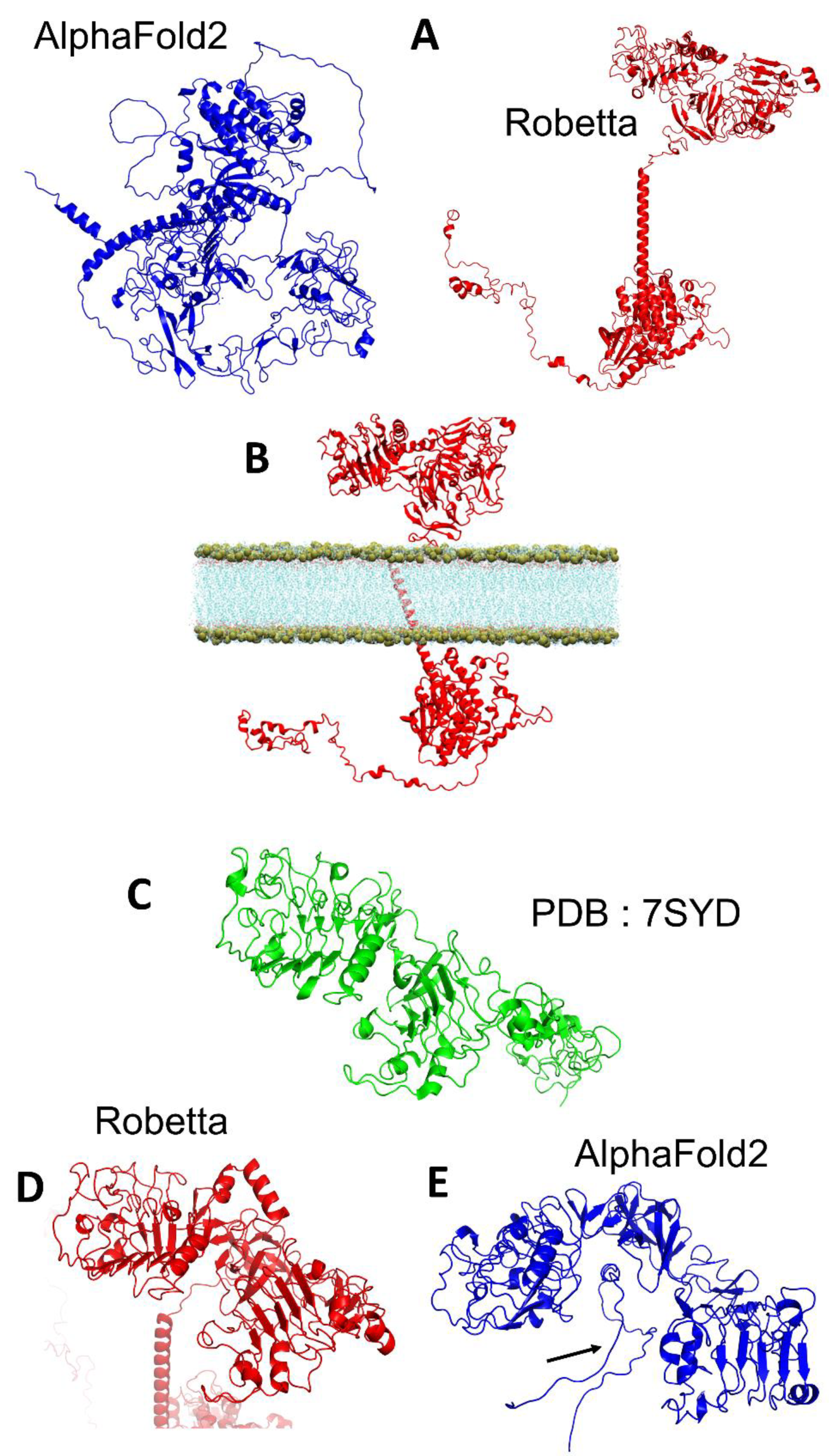 Biomolecules 12 01527 g001