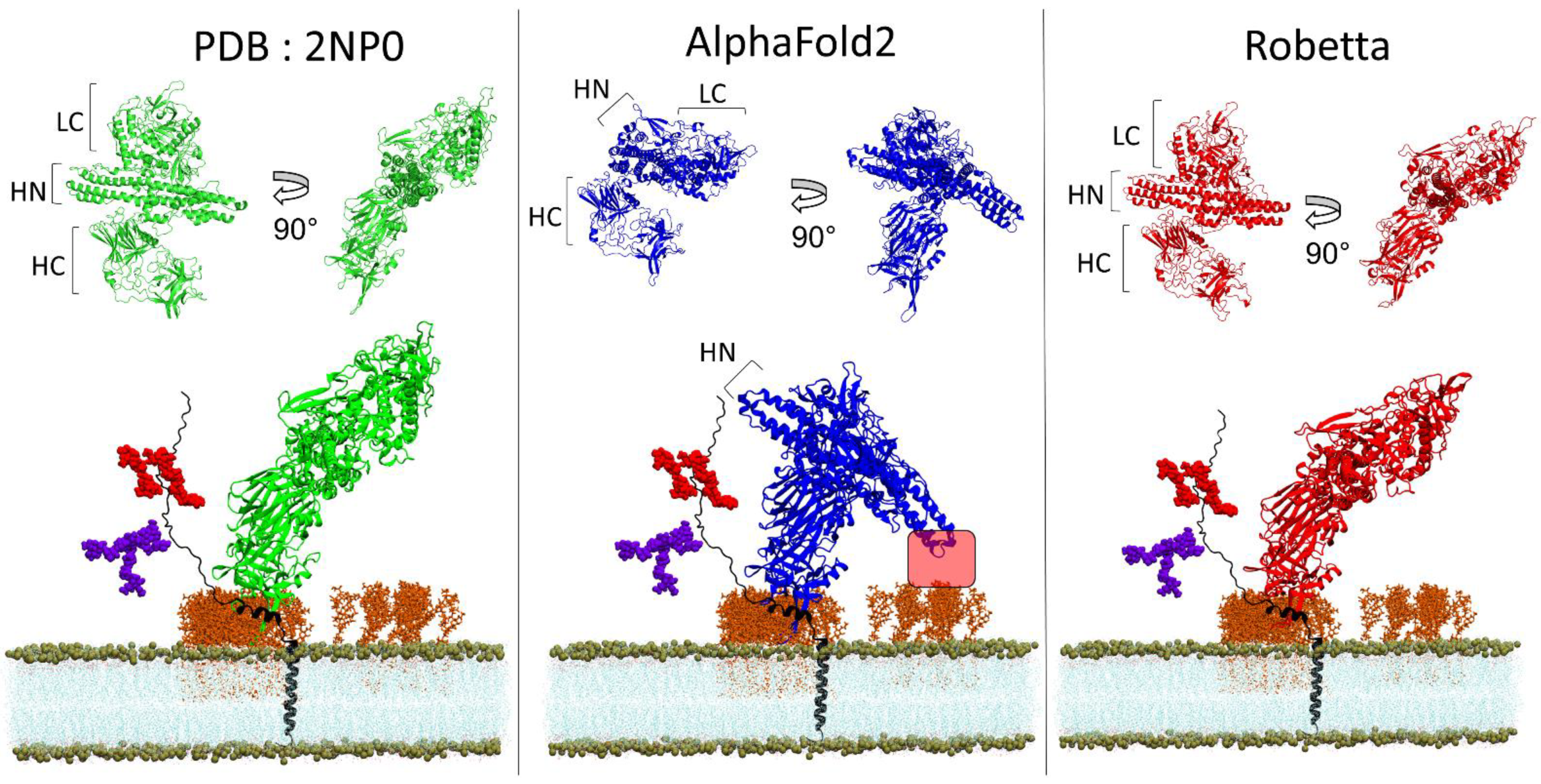 Biomolecules 12 01527 g006