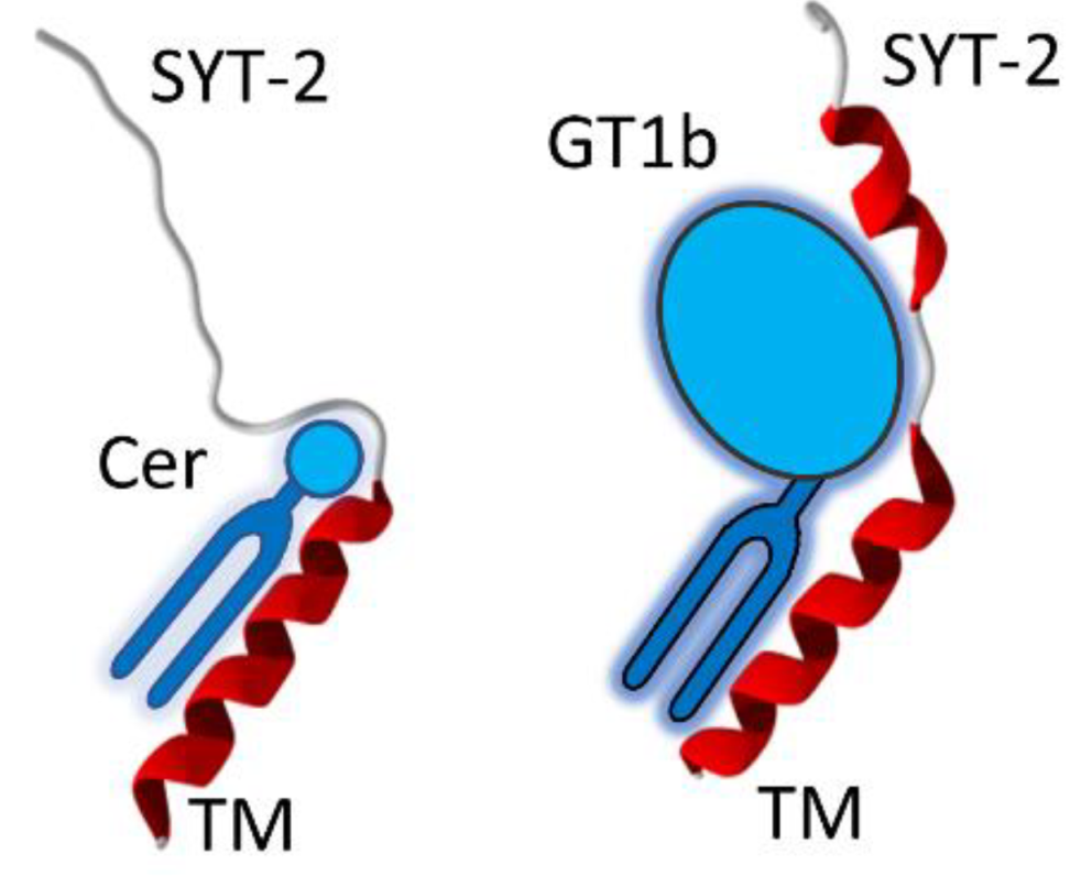 Biomolecules 12 01527 g008