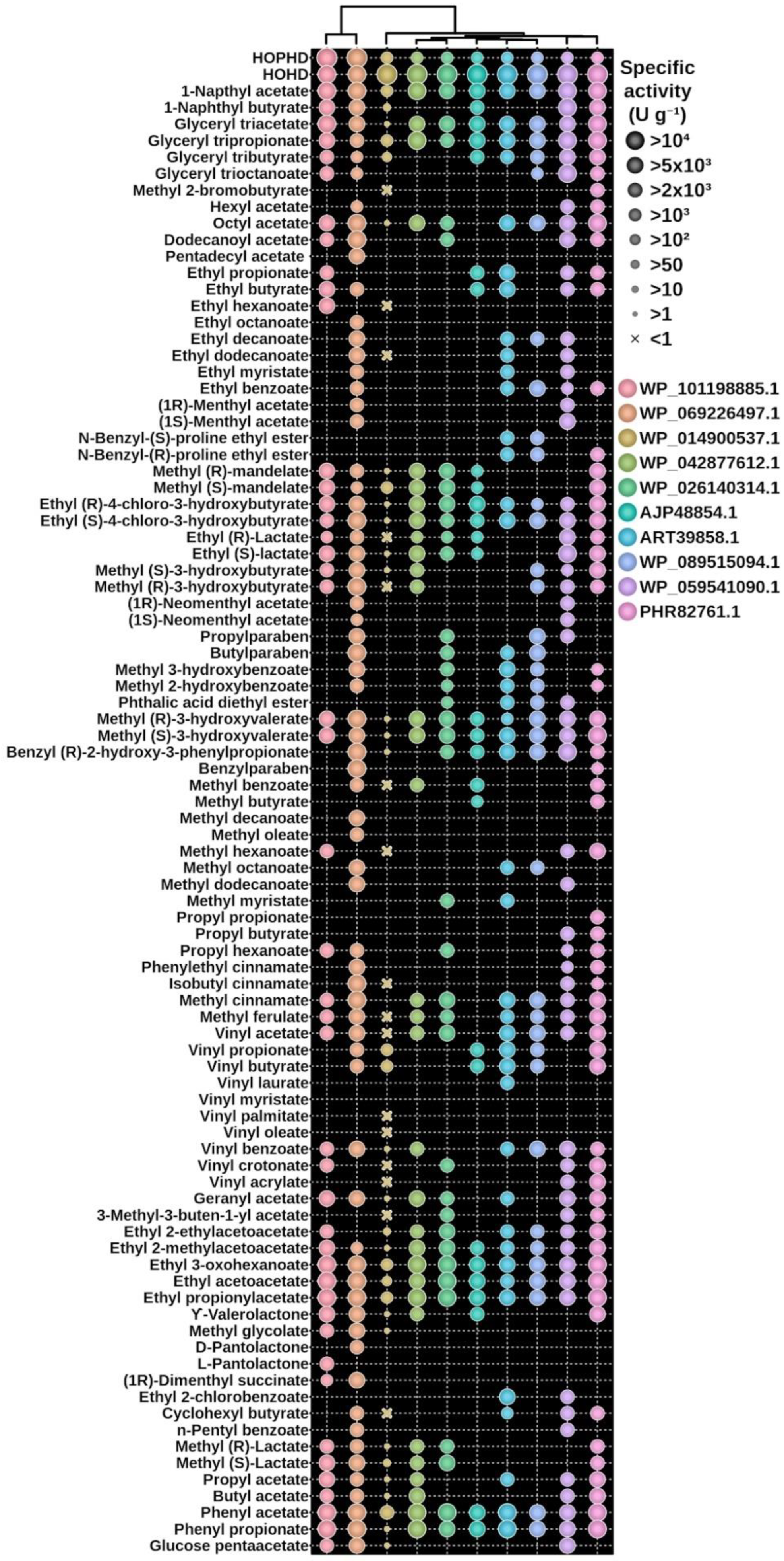 Biomolecules 12 01529 g004 Biomolecules 12 01529 g004