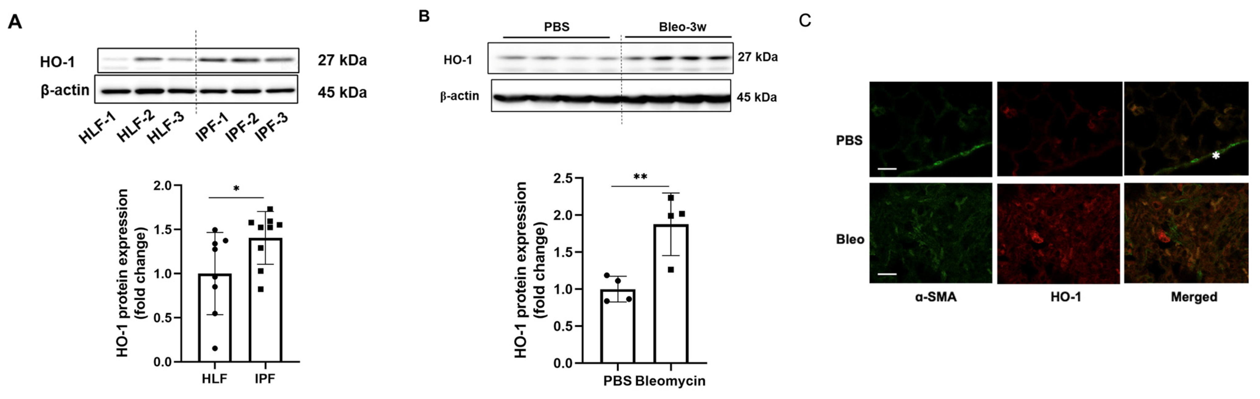 Biomolecules 12 01531 g001