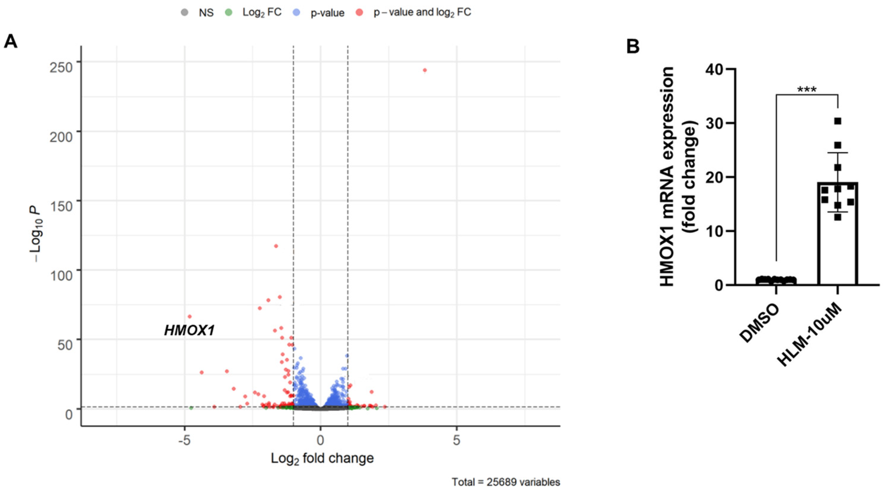 Biomolecules 12 01531 g002
