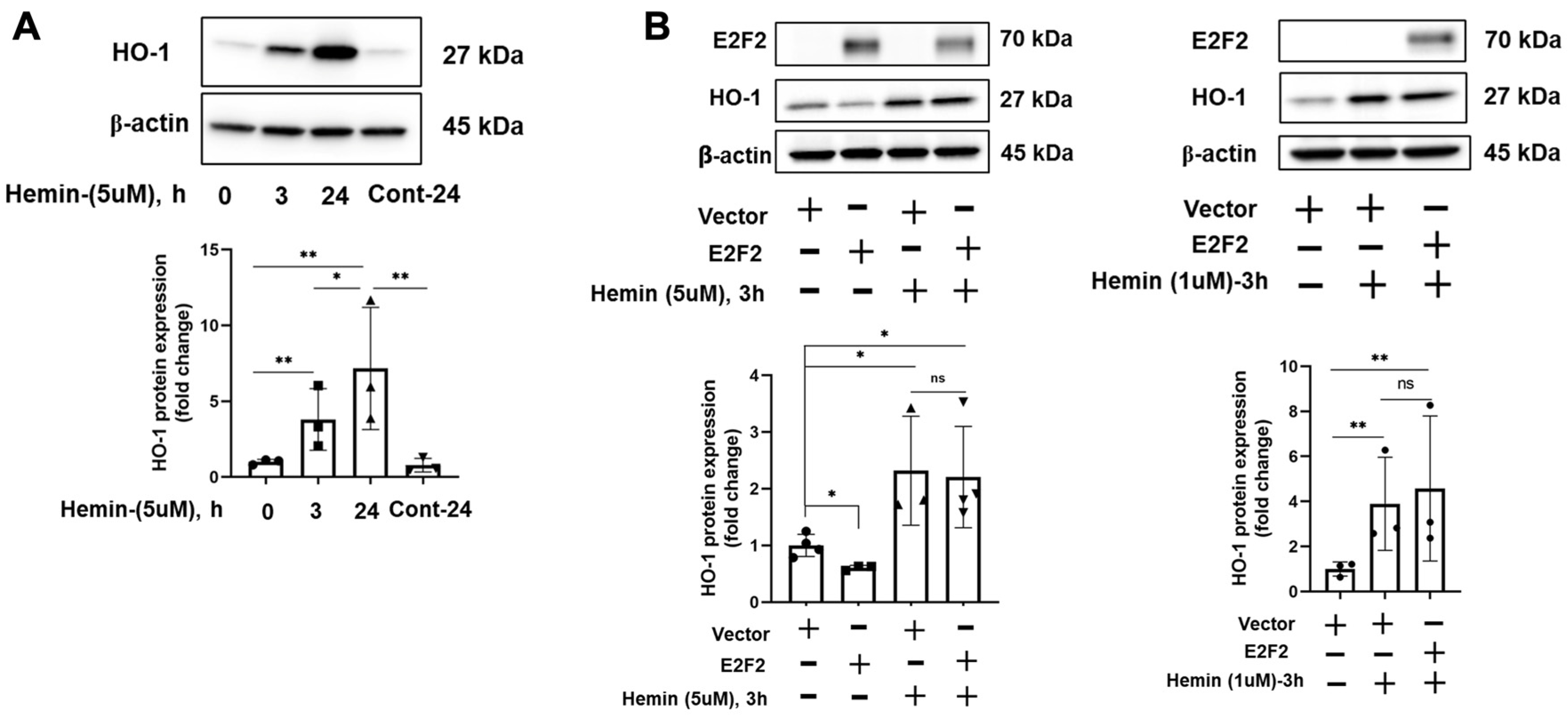 Biomolecules 12 01531 g005