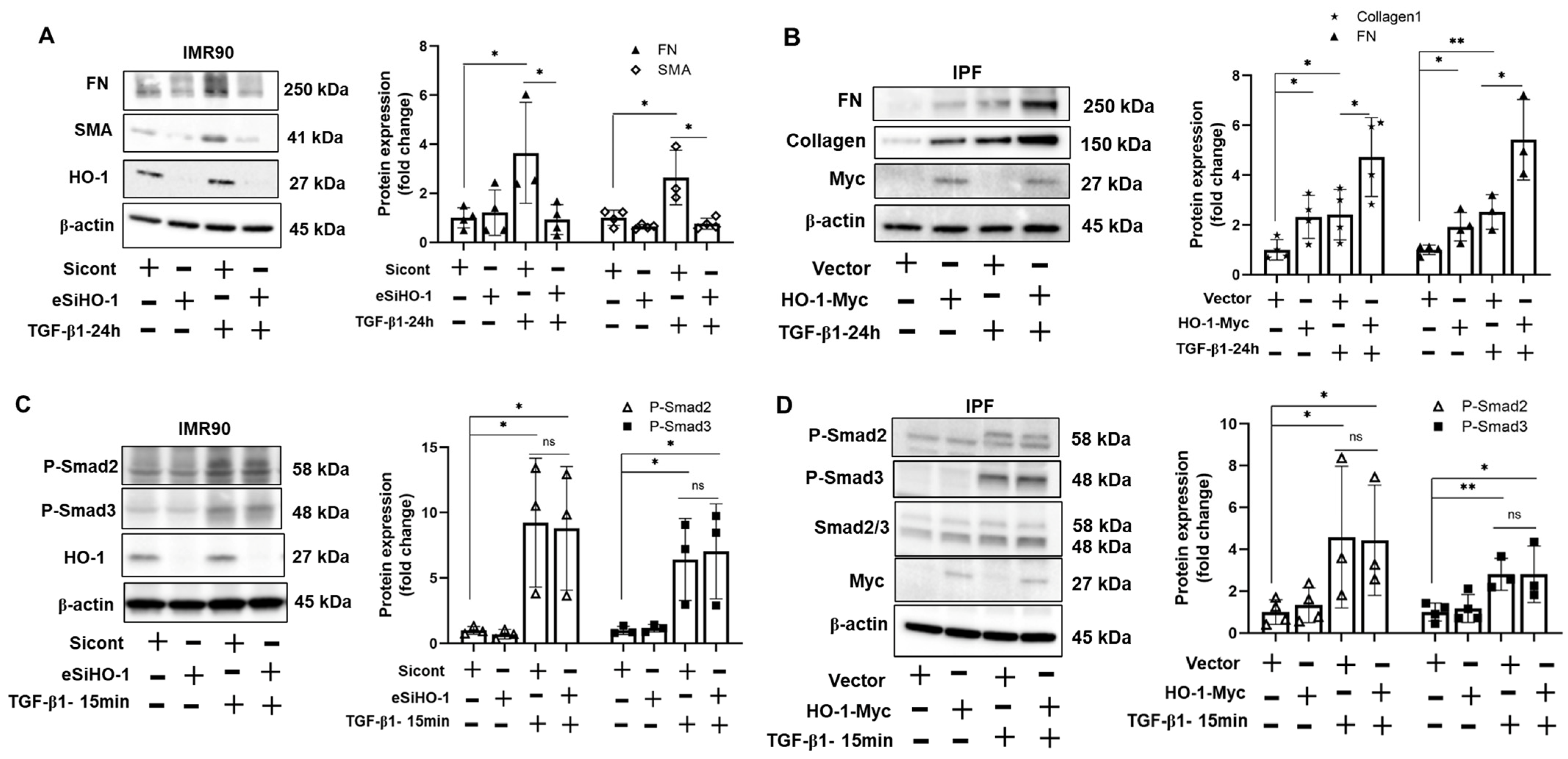 Biomolecules 12 01531 g006