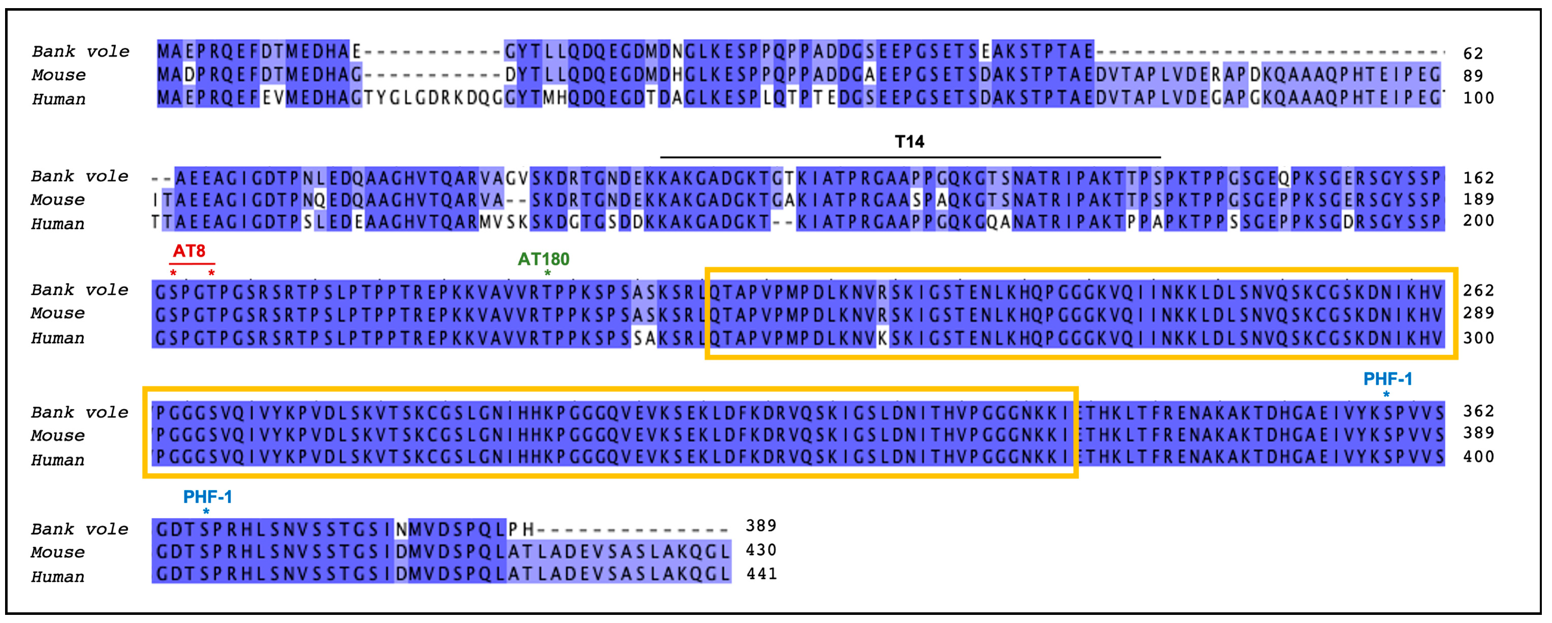 Biomolecules 12 01537 g001