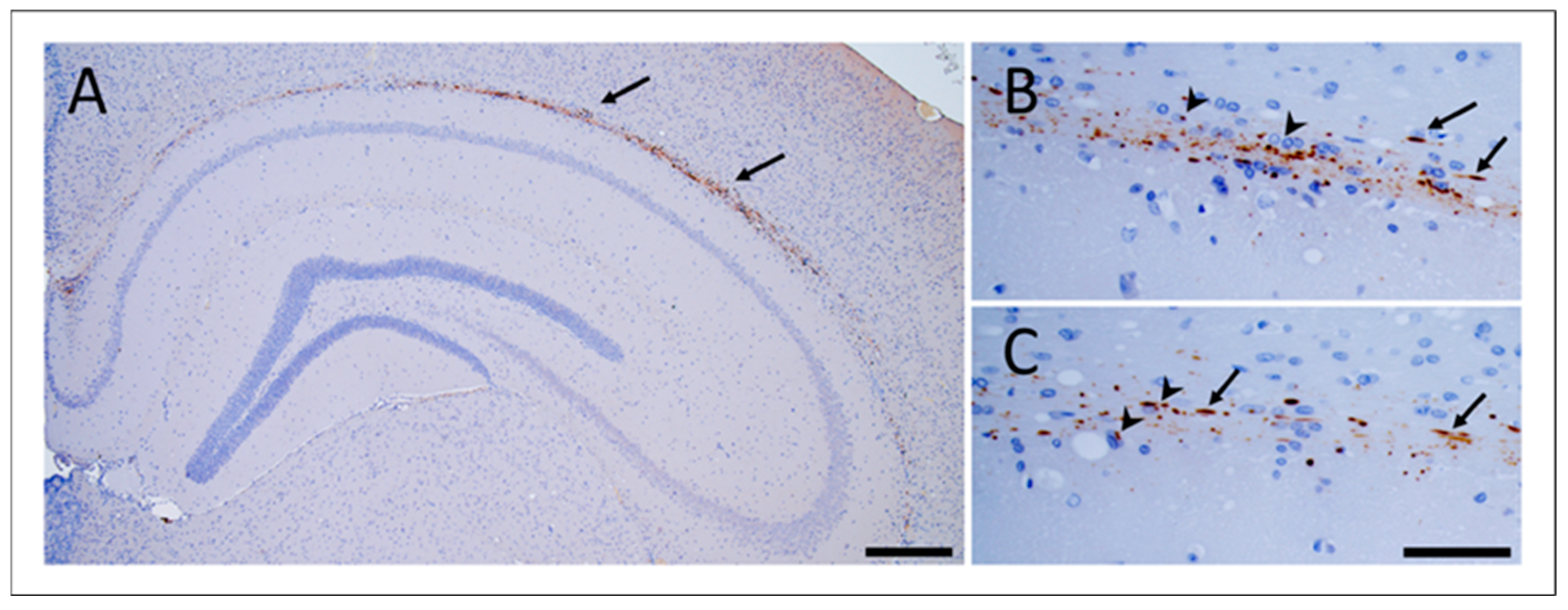 Biomolecules 12 01537 g002