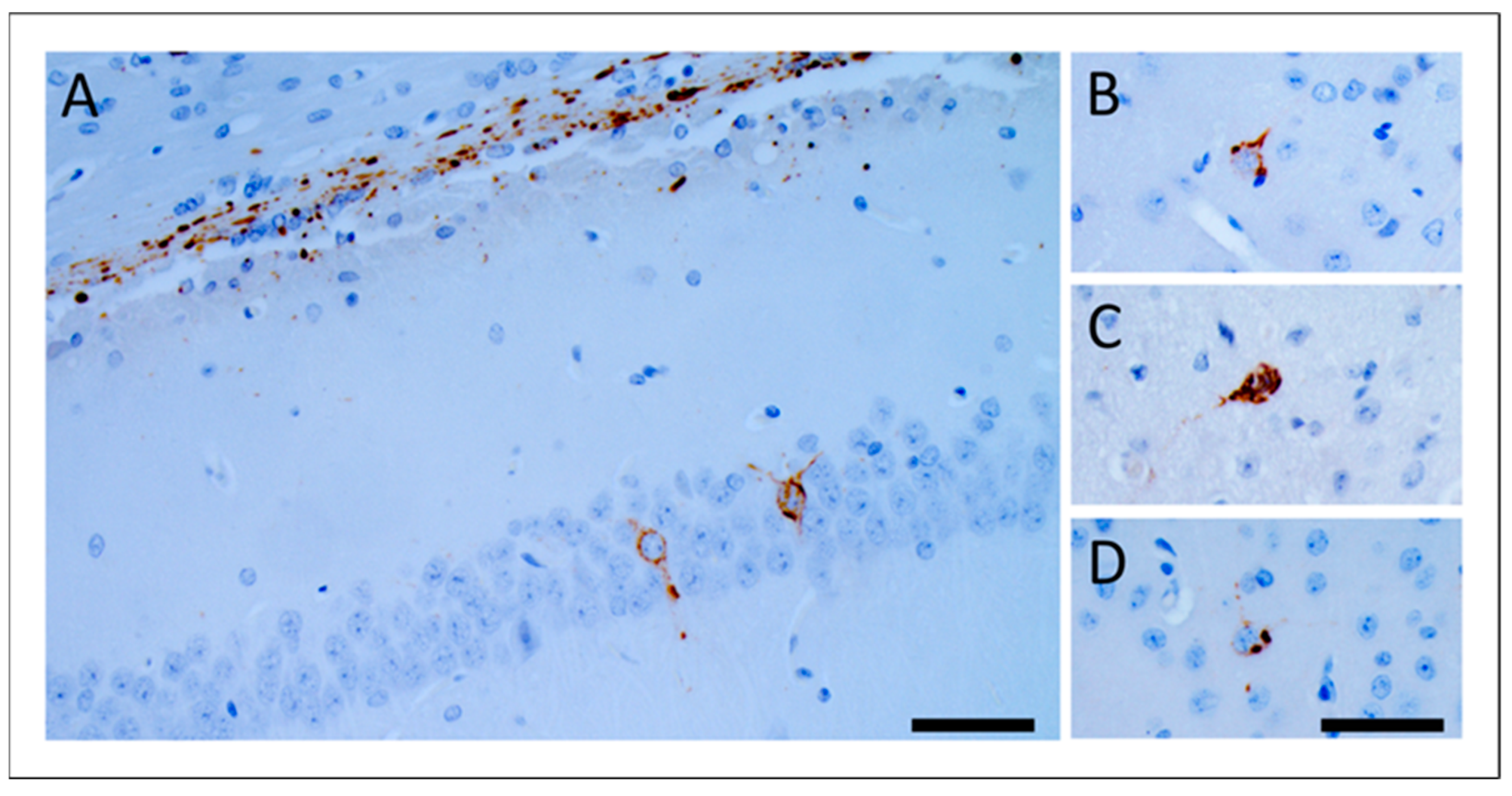Biomolecules 12 01537 g003