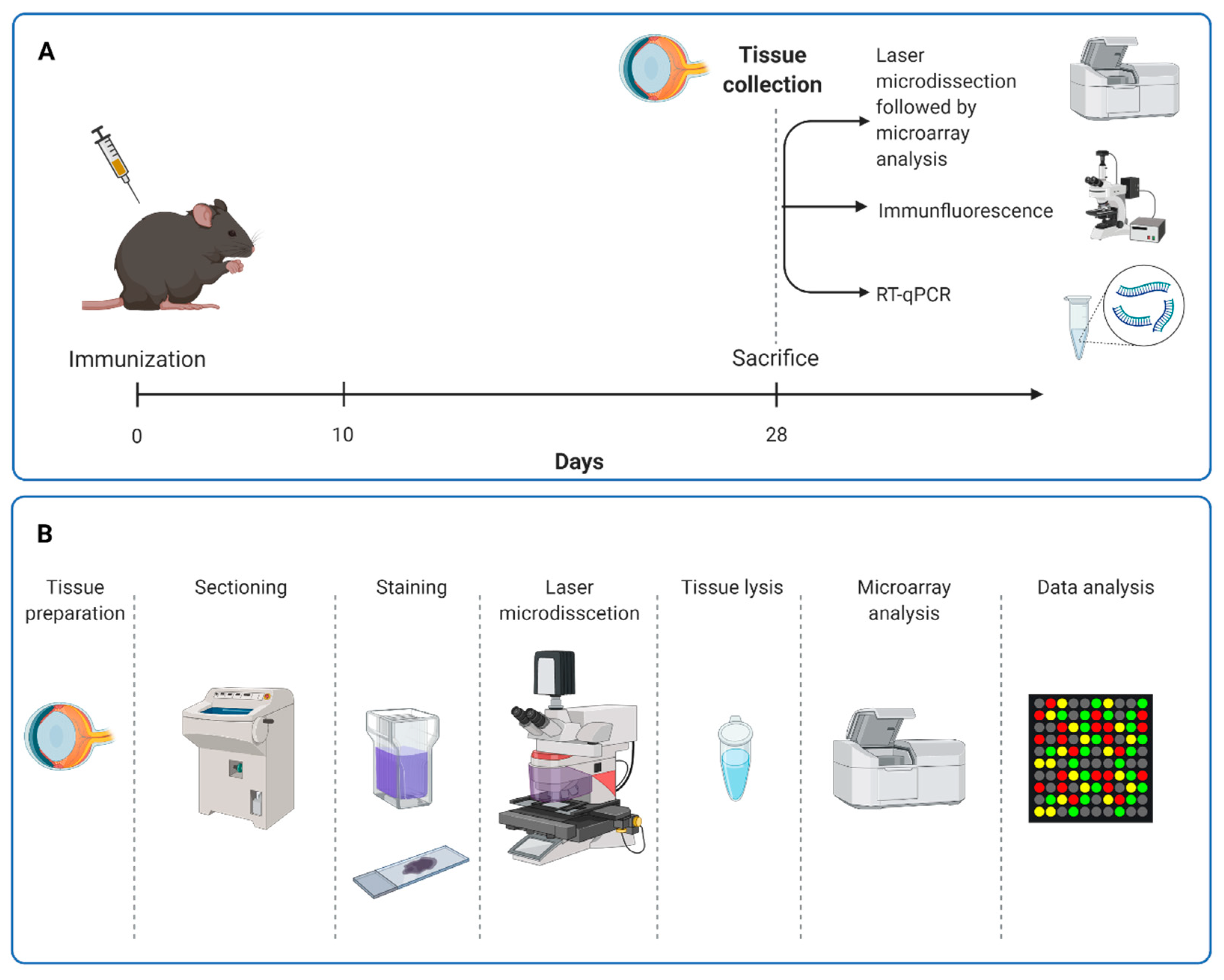 Biomolecules 12 01538 g001 Biomolecules 12 01538 g001
