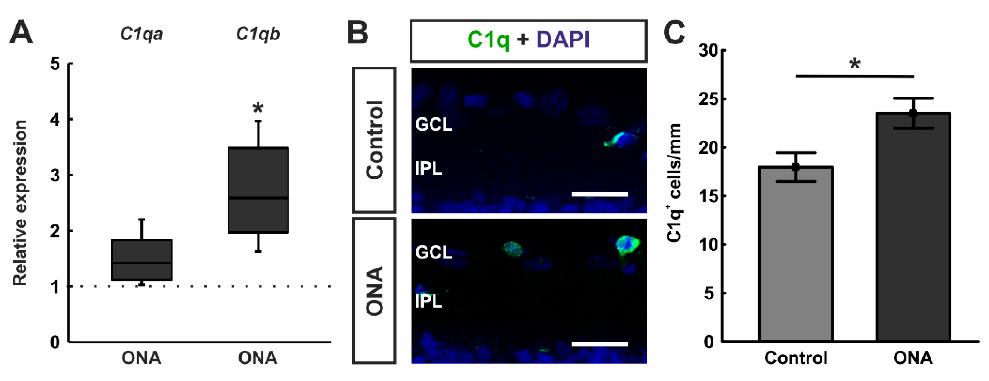 Biomolecules 12 01538 g004 Biomolecules 12 01538 g004