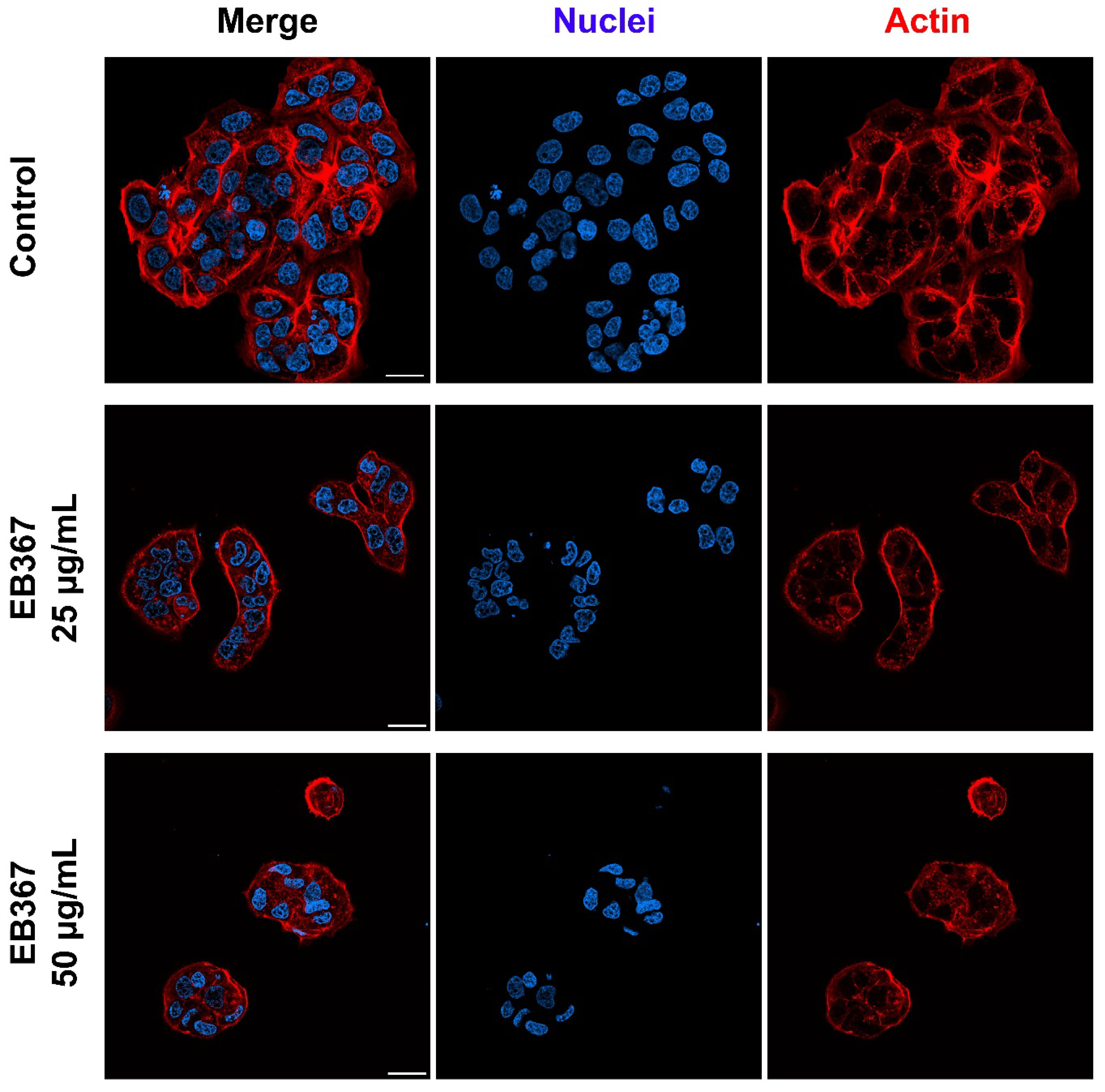 Biomolecules 12 01540 g004