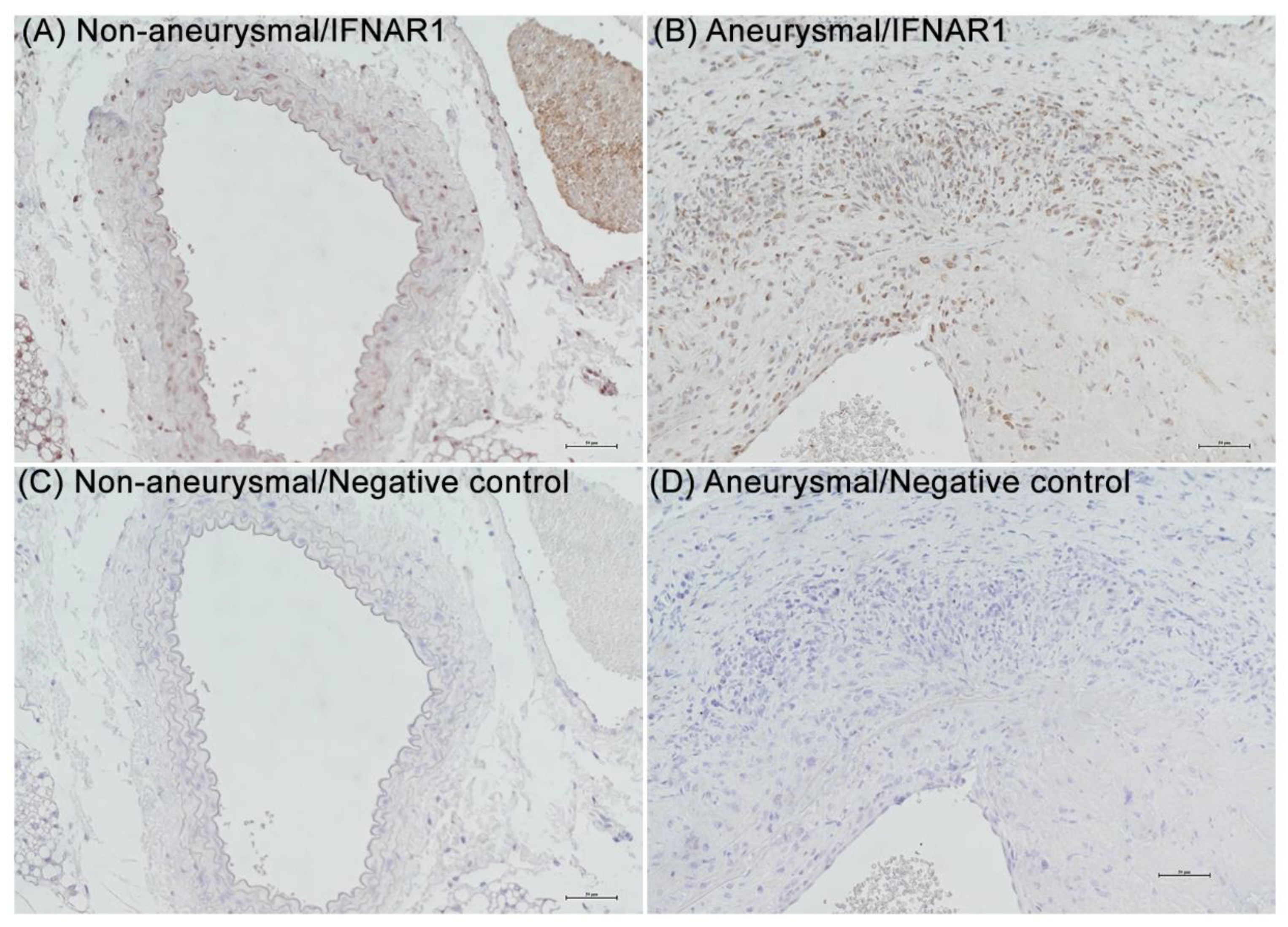 Biomolecules 12 01541 g001 Biomolecules 12 01541 g001
