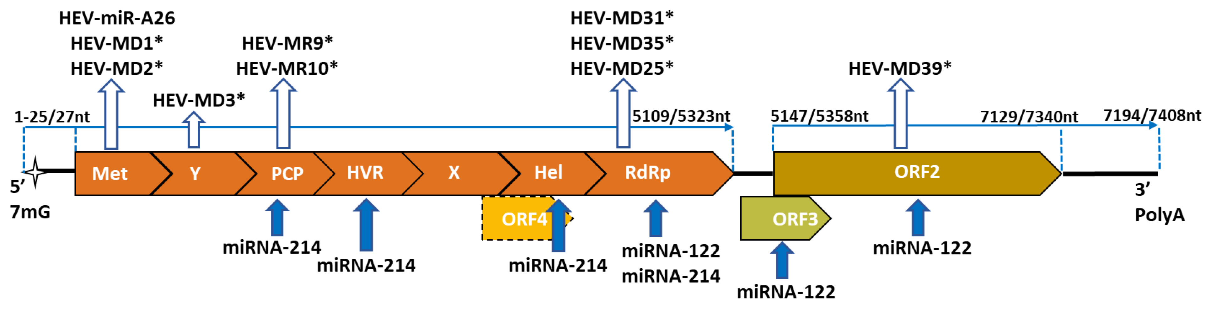 Biomolecules 12 01543 g001
