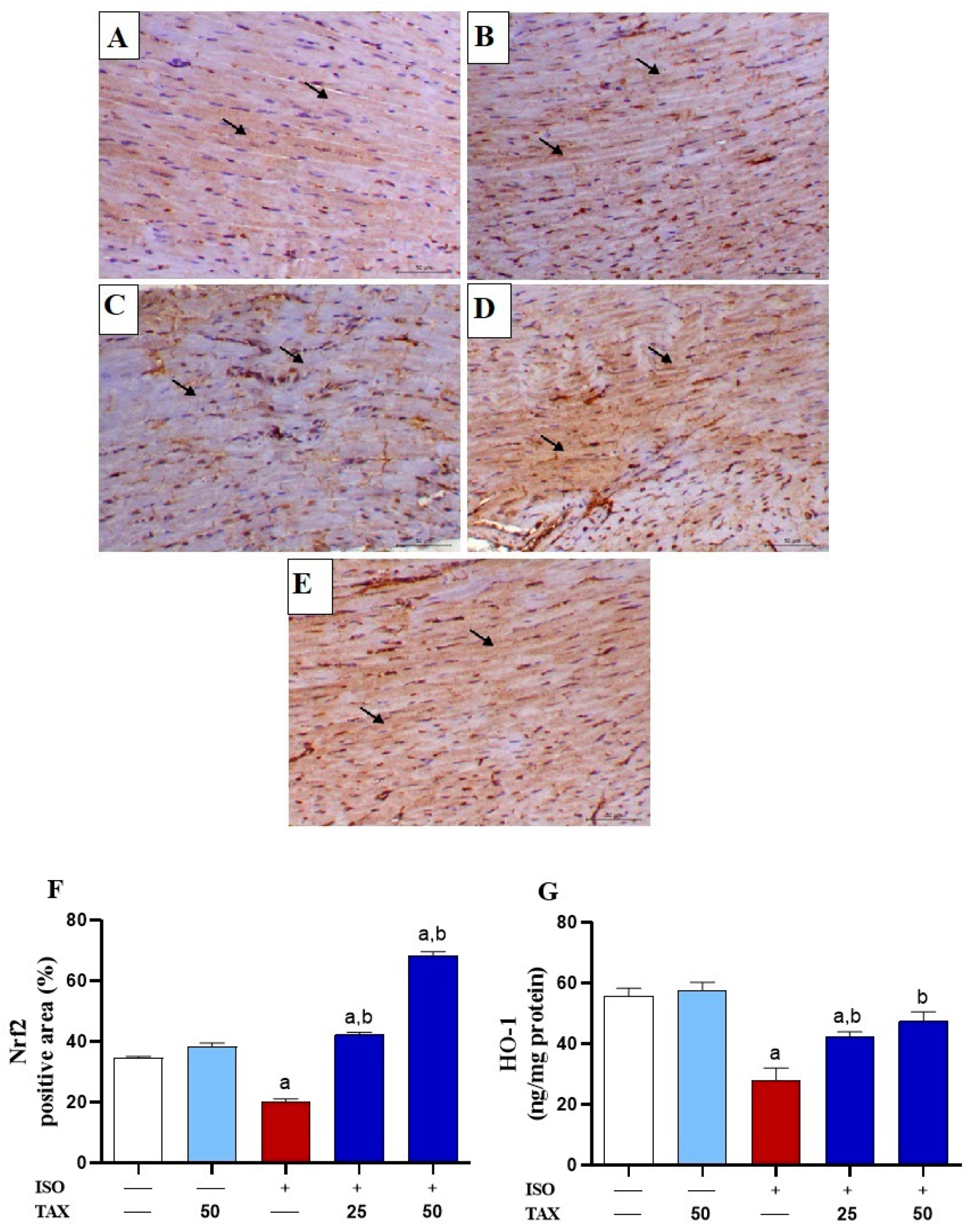 Biomolecules 12 01546 g008