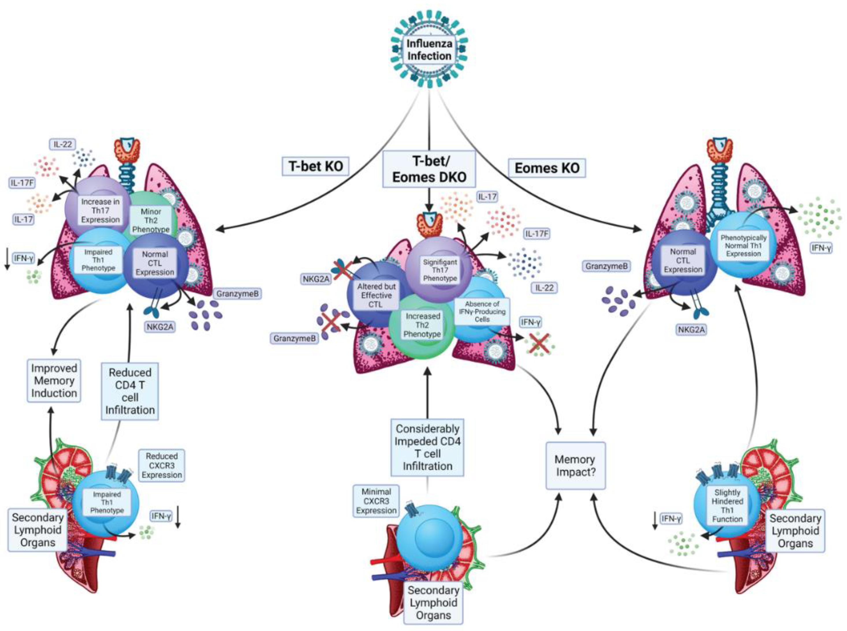 Biomolecules 12 01549 g003 Biomolecules 12 01549 g003