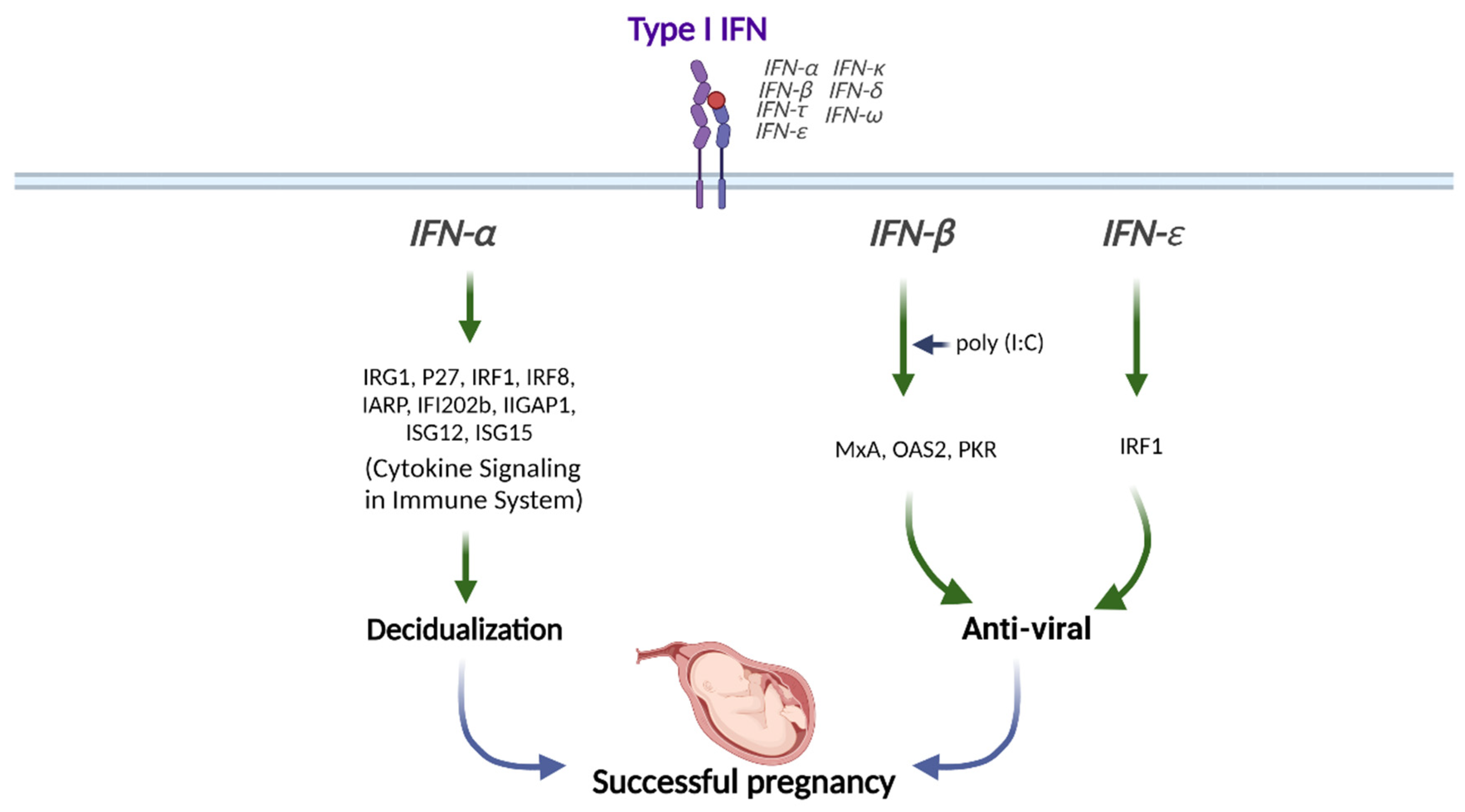 Biomolecules 12 01554 g002 Biomolecules 12 01554 g002