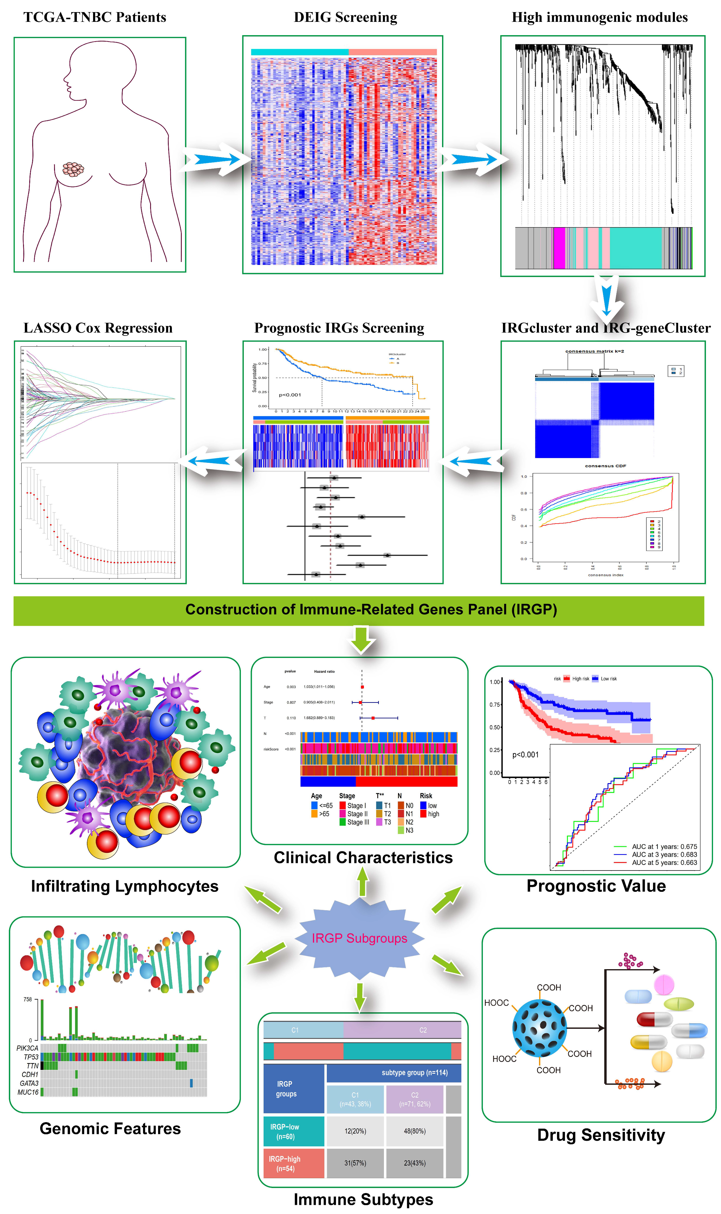 Biomolecules 12 01556 g001 Biomolecules 12 01556 g001