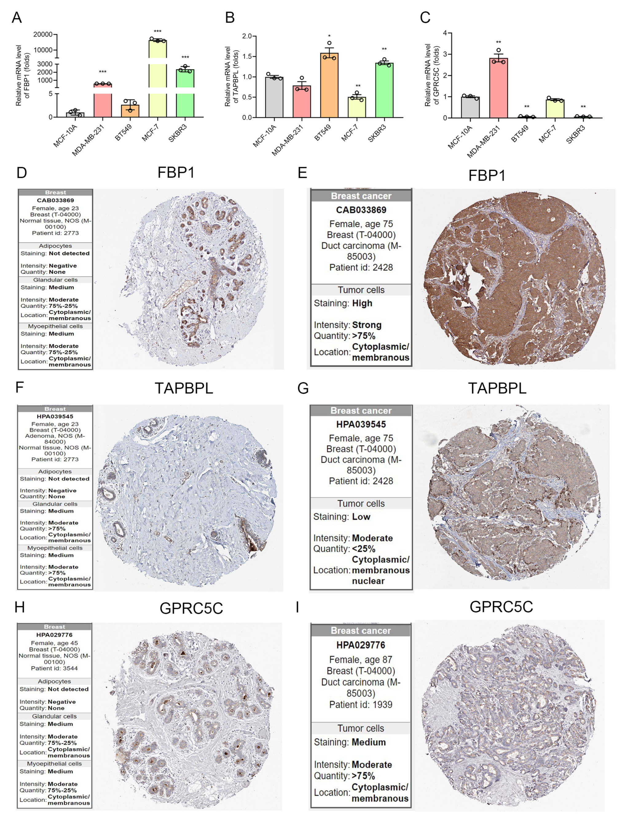 Biomolecules 12 01556 g006 Biomolecules 12 01556 g006