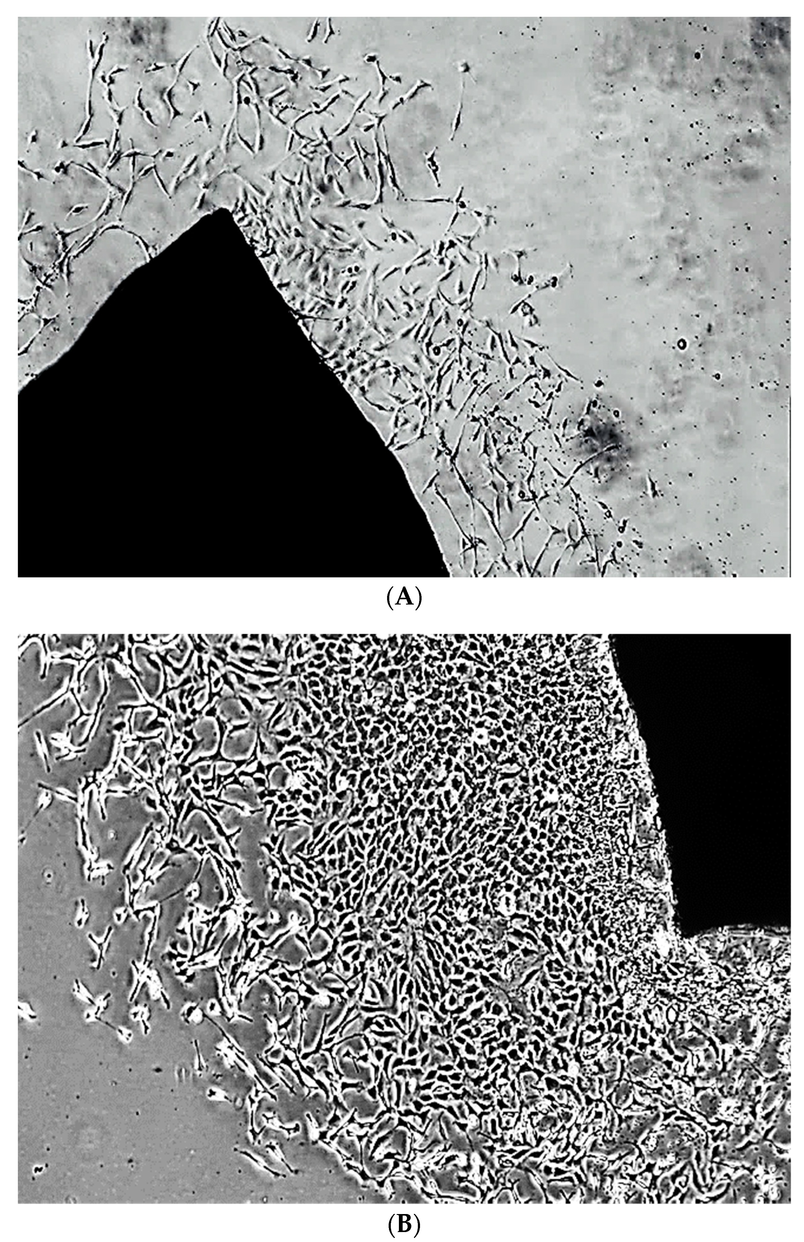 Biomolecules 12 01563 g0a1