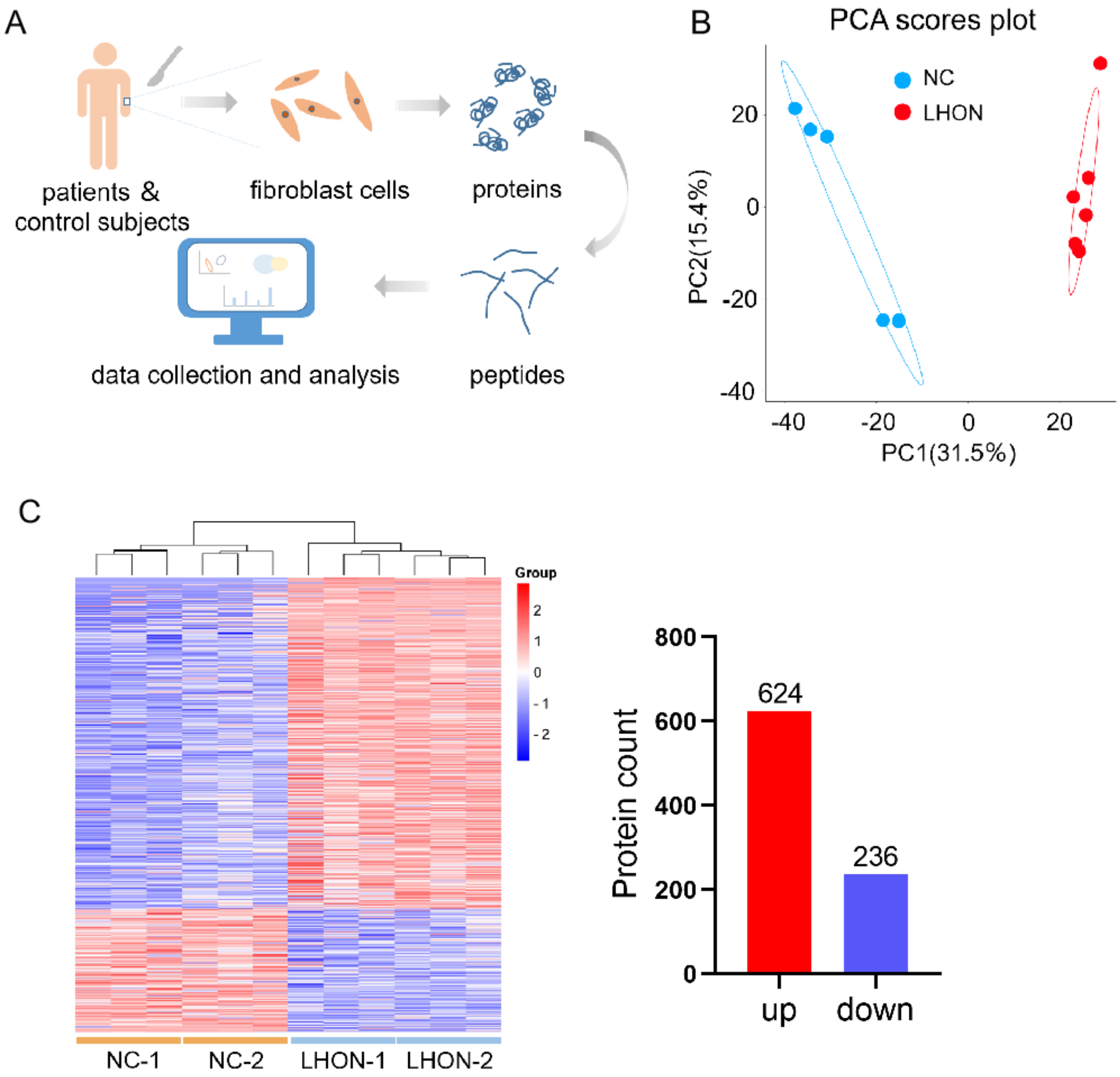 Biomolecules 12 01568 g001 Biomolecules 12 01568 g001