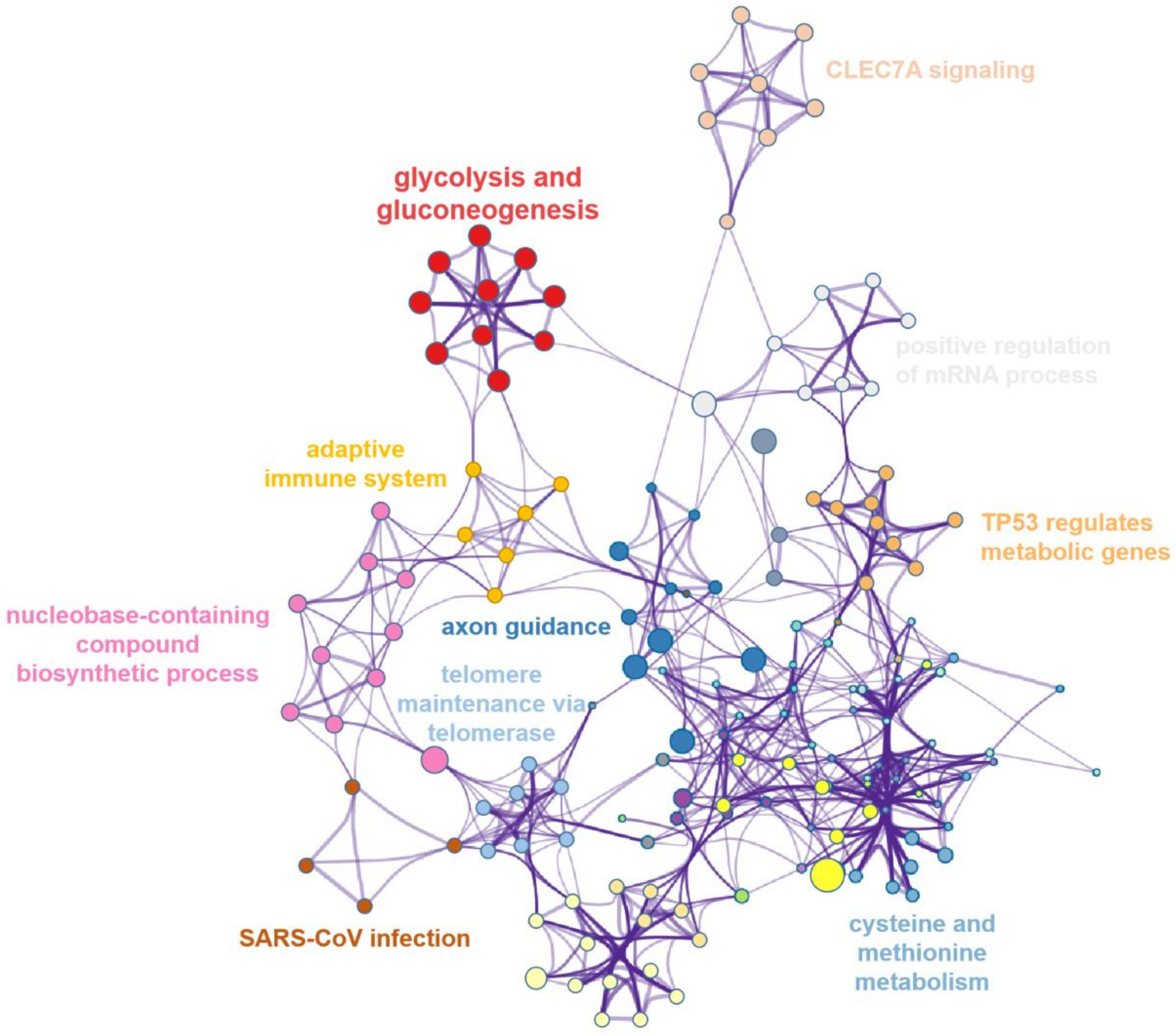 Biomolecules 12 01568 g004 Biomolecules 12 01568 g004