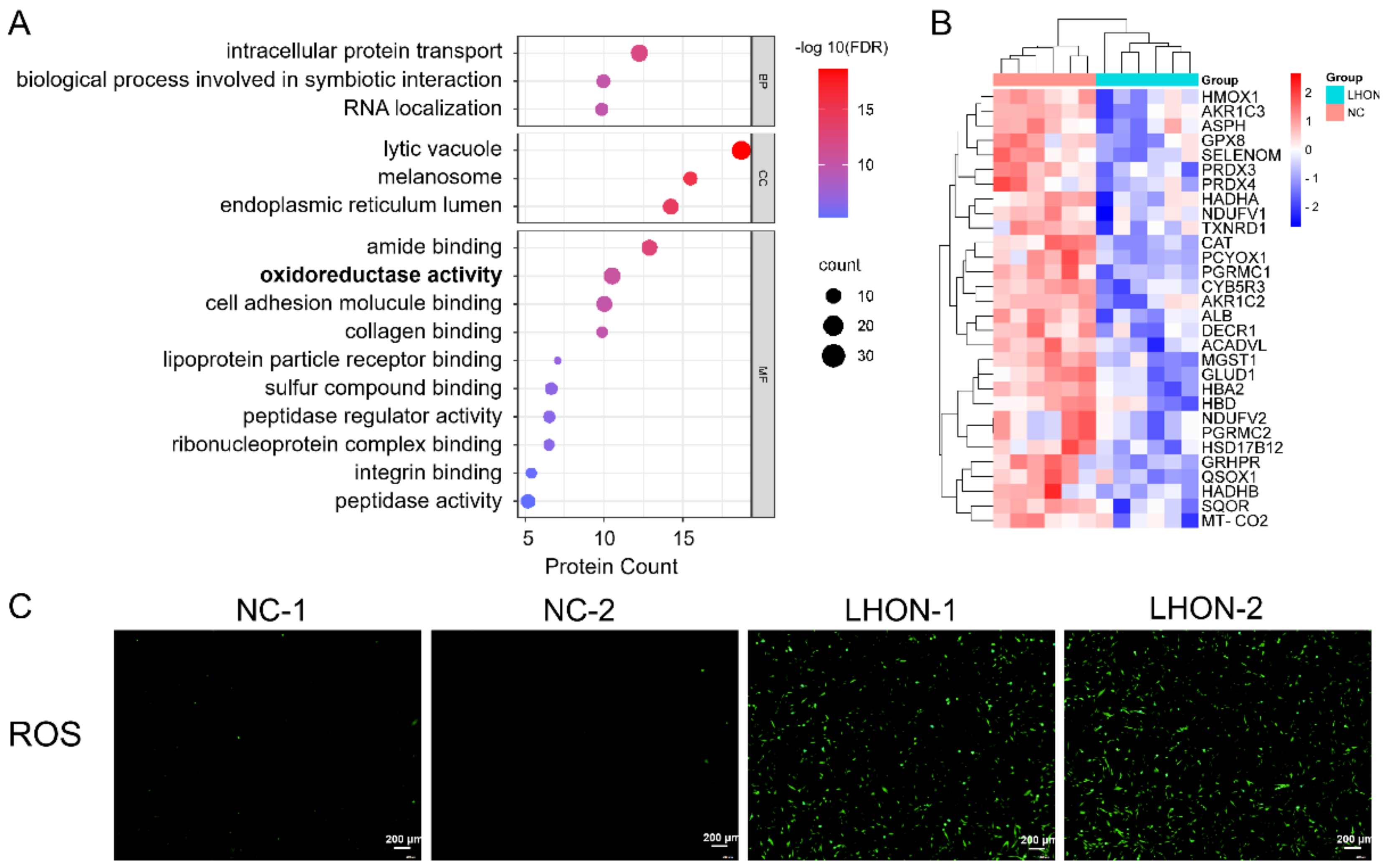 Biomolecules 12 01568 g005 Biomolecules 12 01568 g005