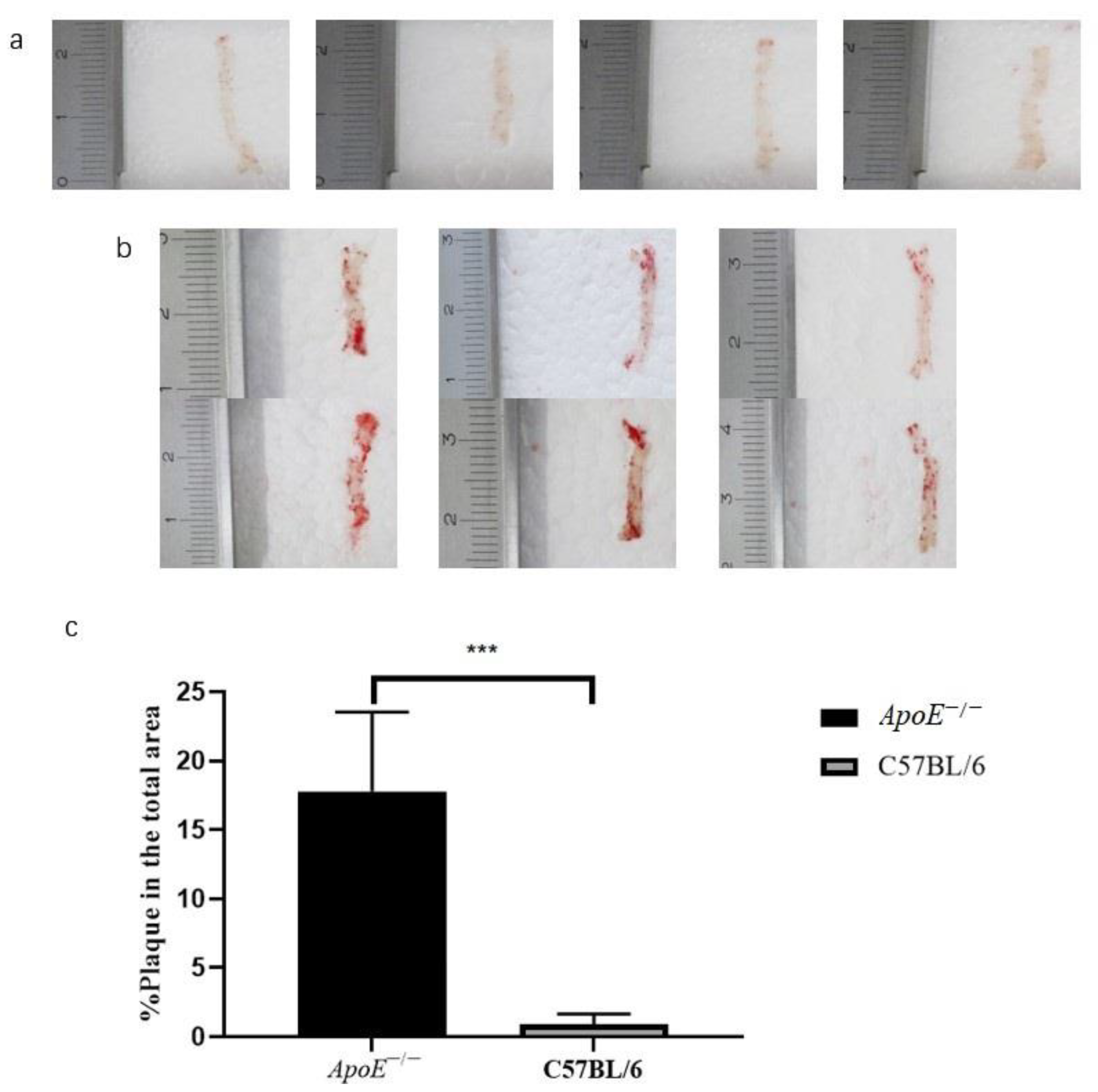 Biomolecules 12 01569 g002