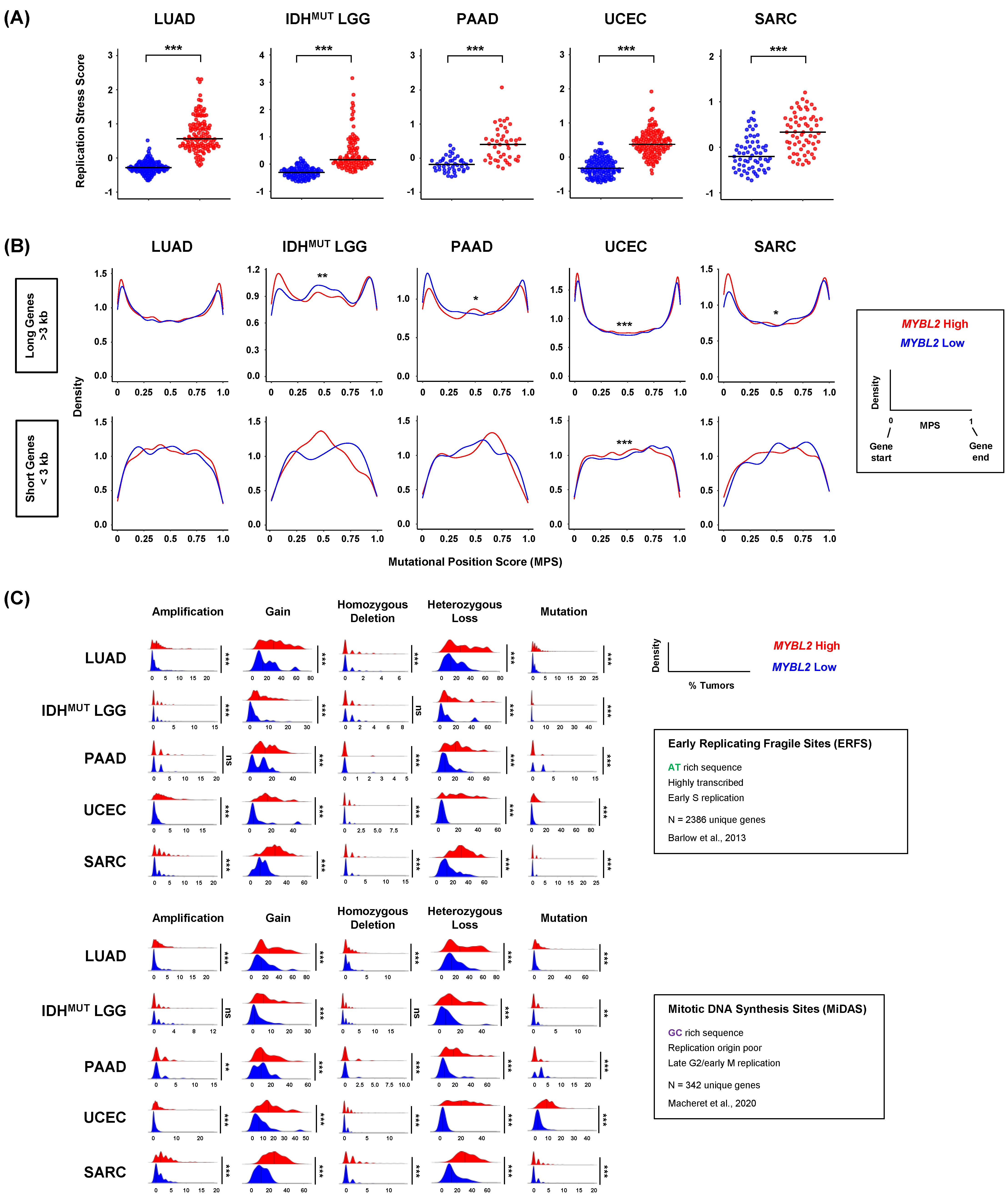Biomolecules 12 01570 g004 Biomolecules 12 01570 g004