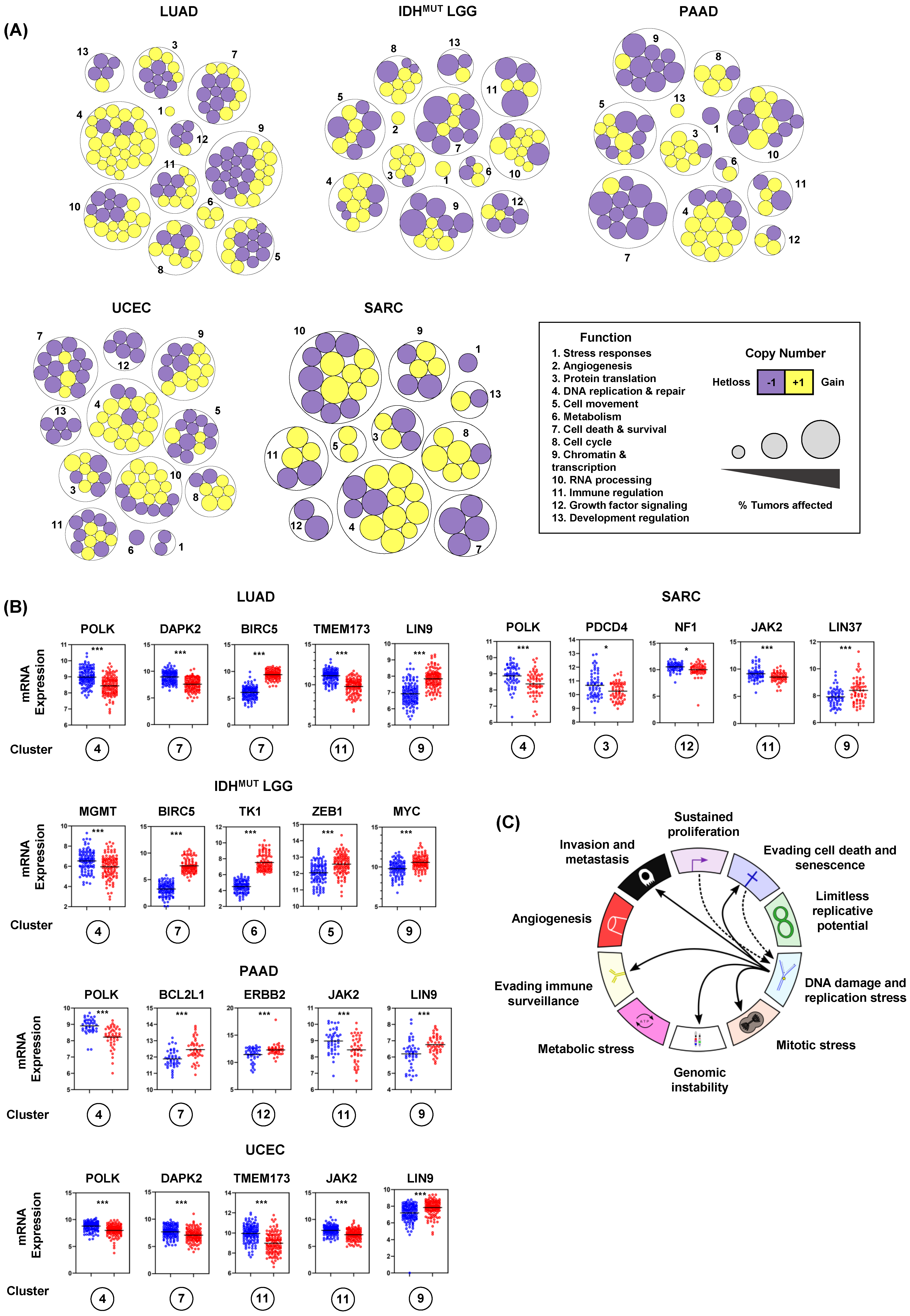 Biomolecules 12 01570 g005 Biomolecules 12 01570 g005