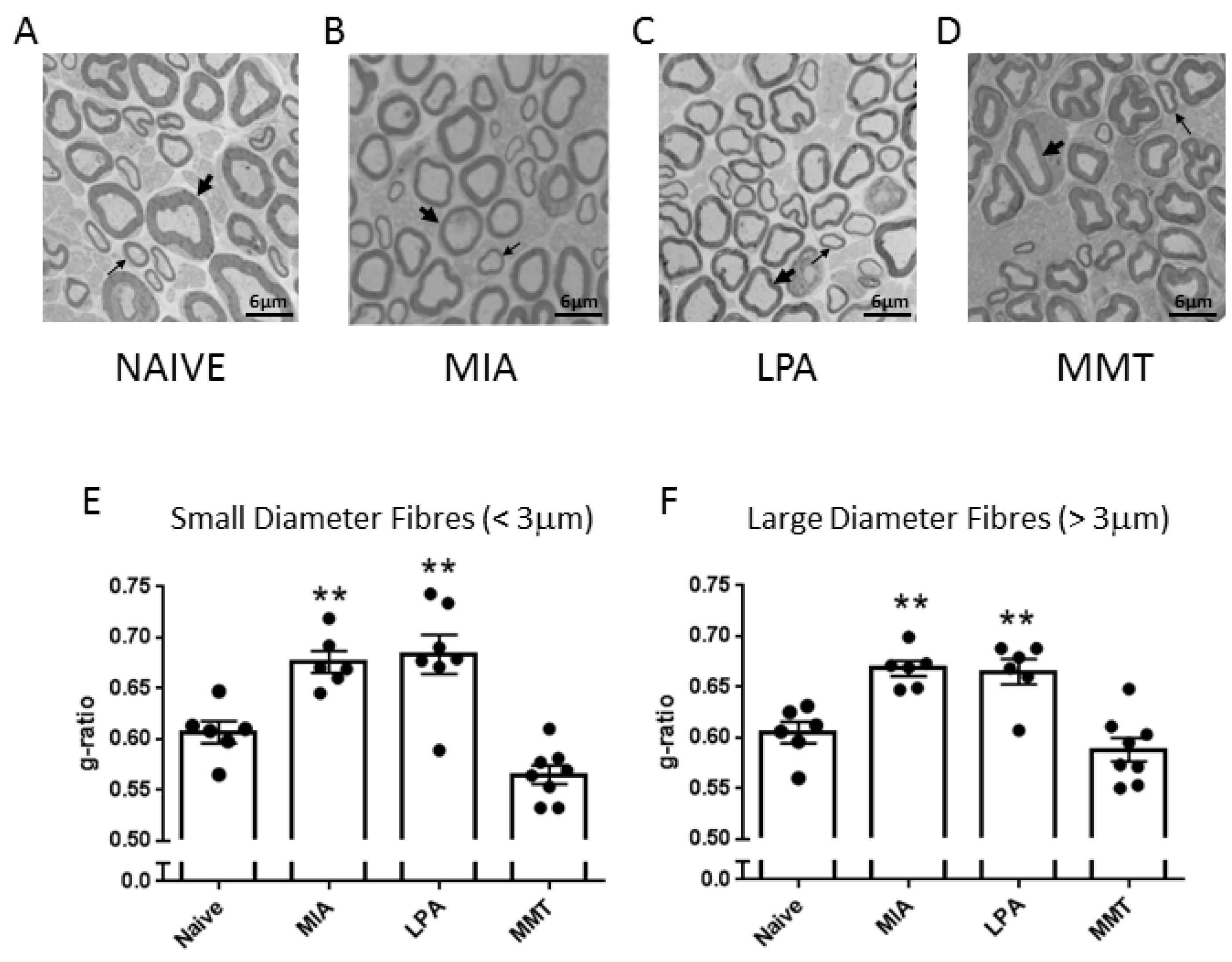 Biomolecules 12 01571 g001
