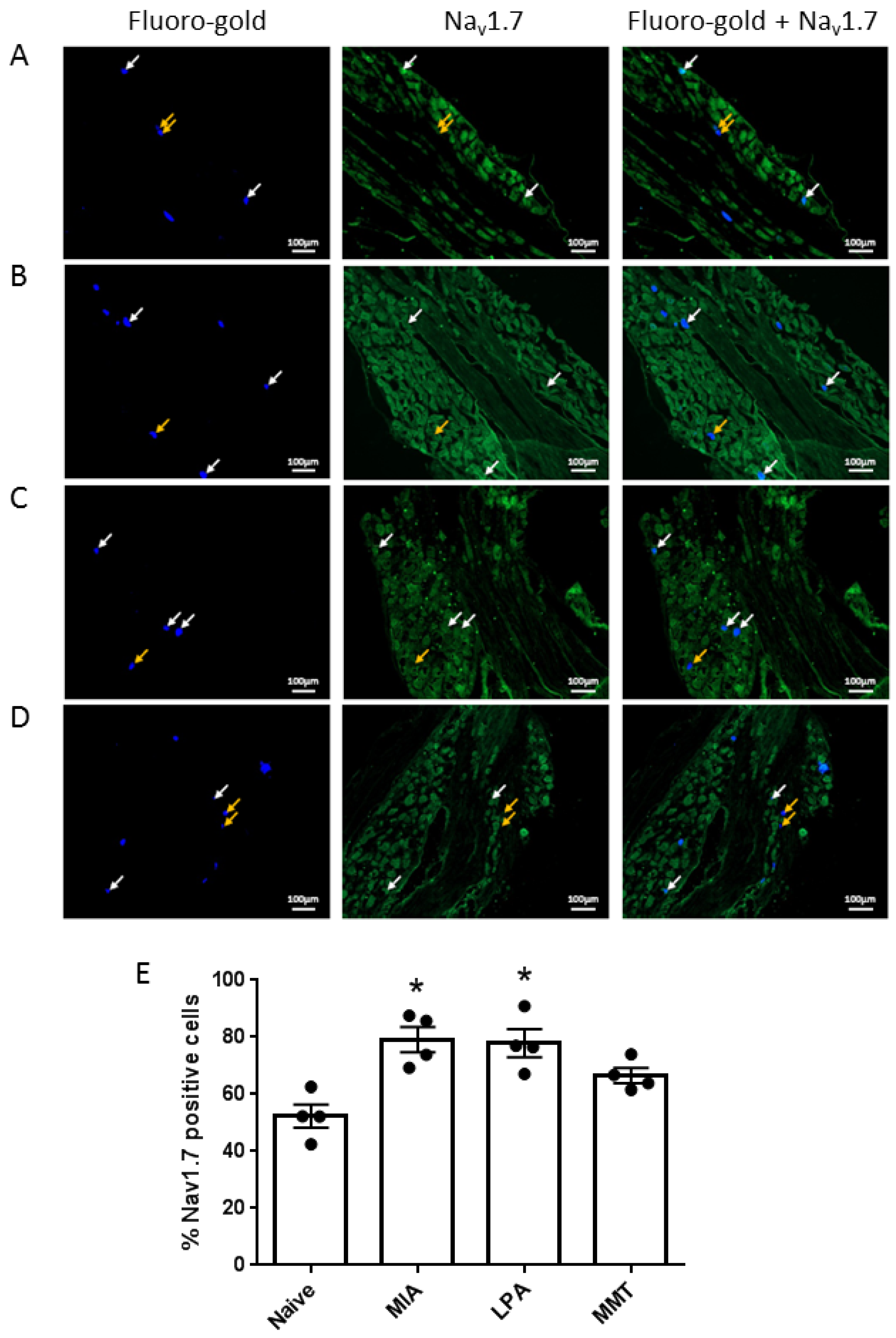 Biomolecules 12 01571 g002
