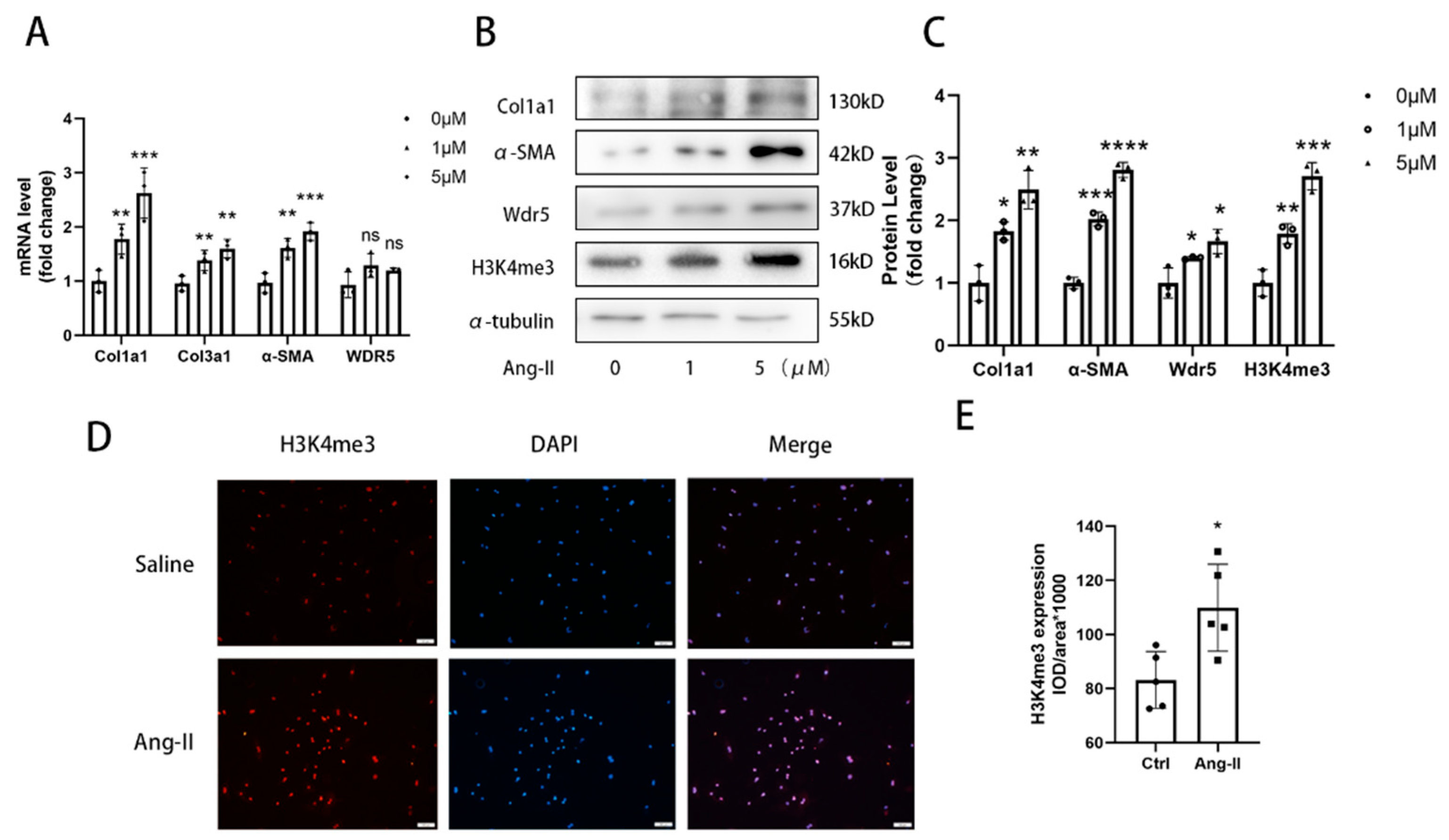 Biomolecules 12 01574 g002